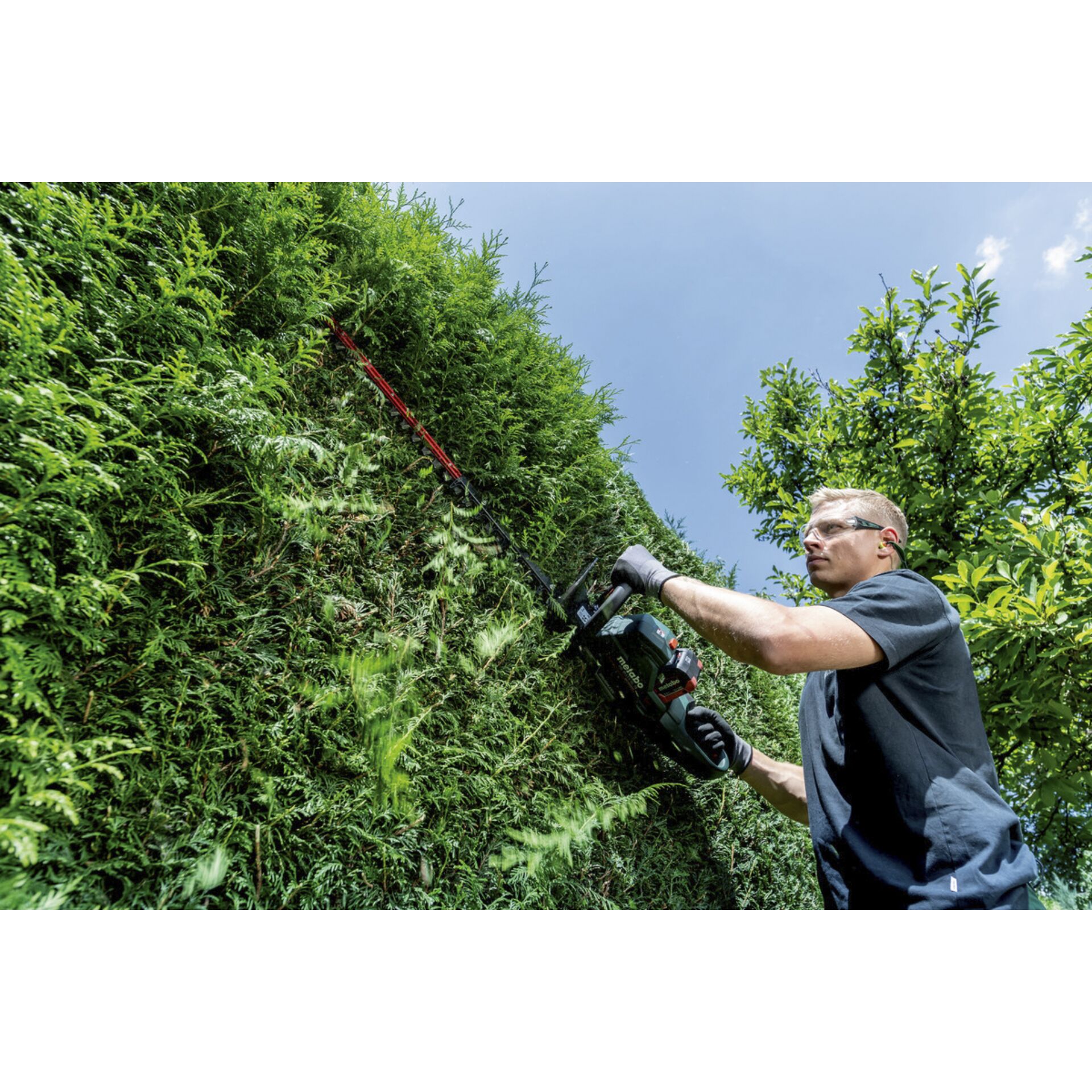 Hecke, Garten, Draußen, Gras, Handschuh