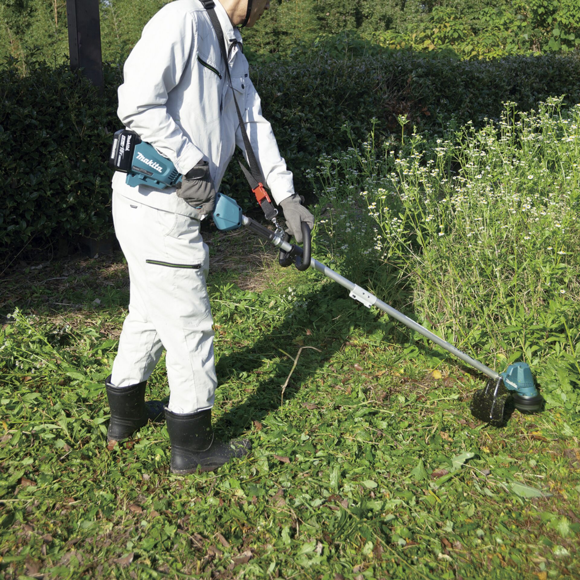 Gras, Rasen, Garten, Person, Gartenarbeit