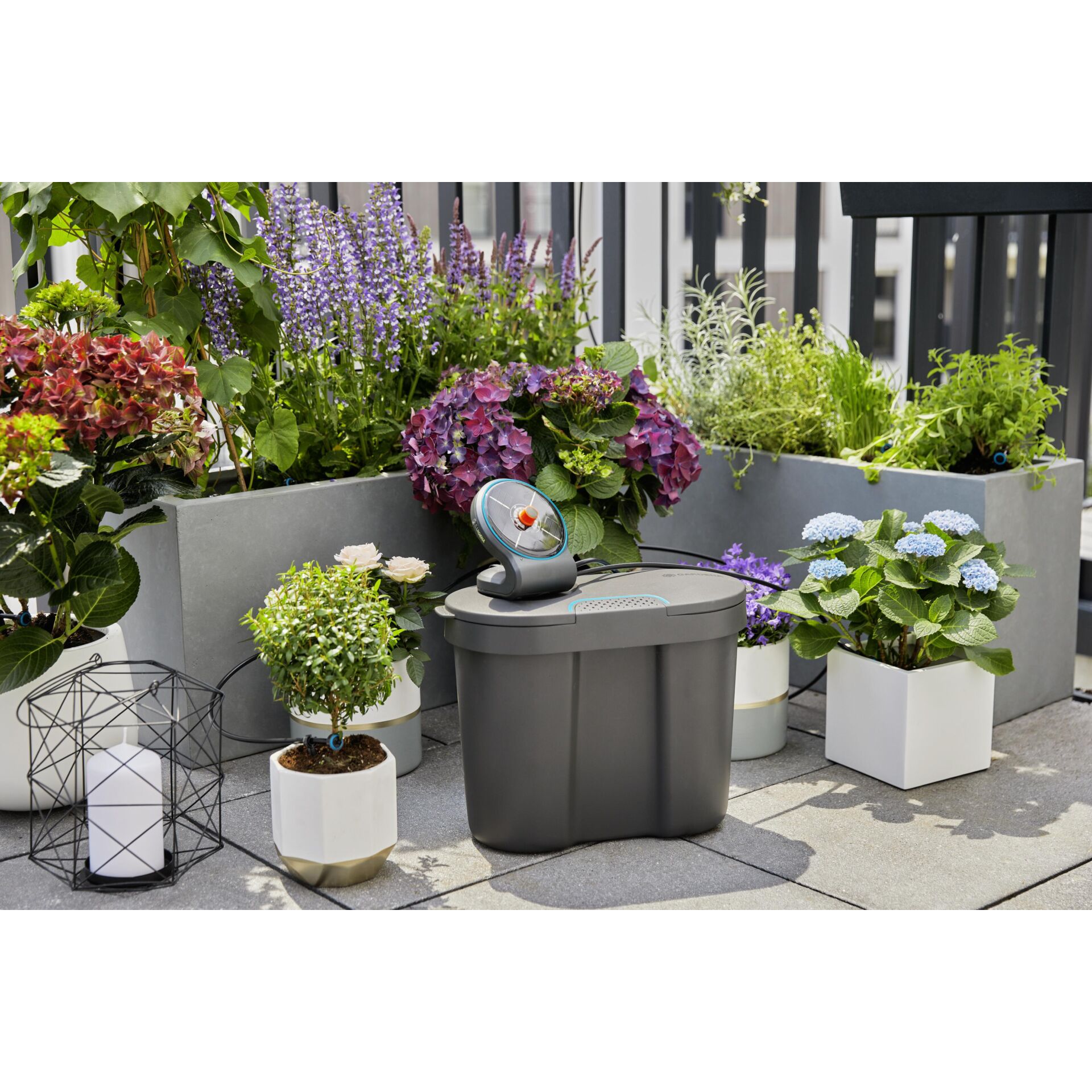 Pflanze, Pflanze im Topf, Pflanzgefäß, Innenarchitektur, Garten
