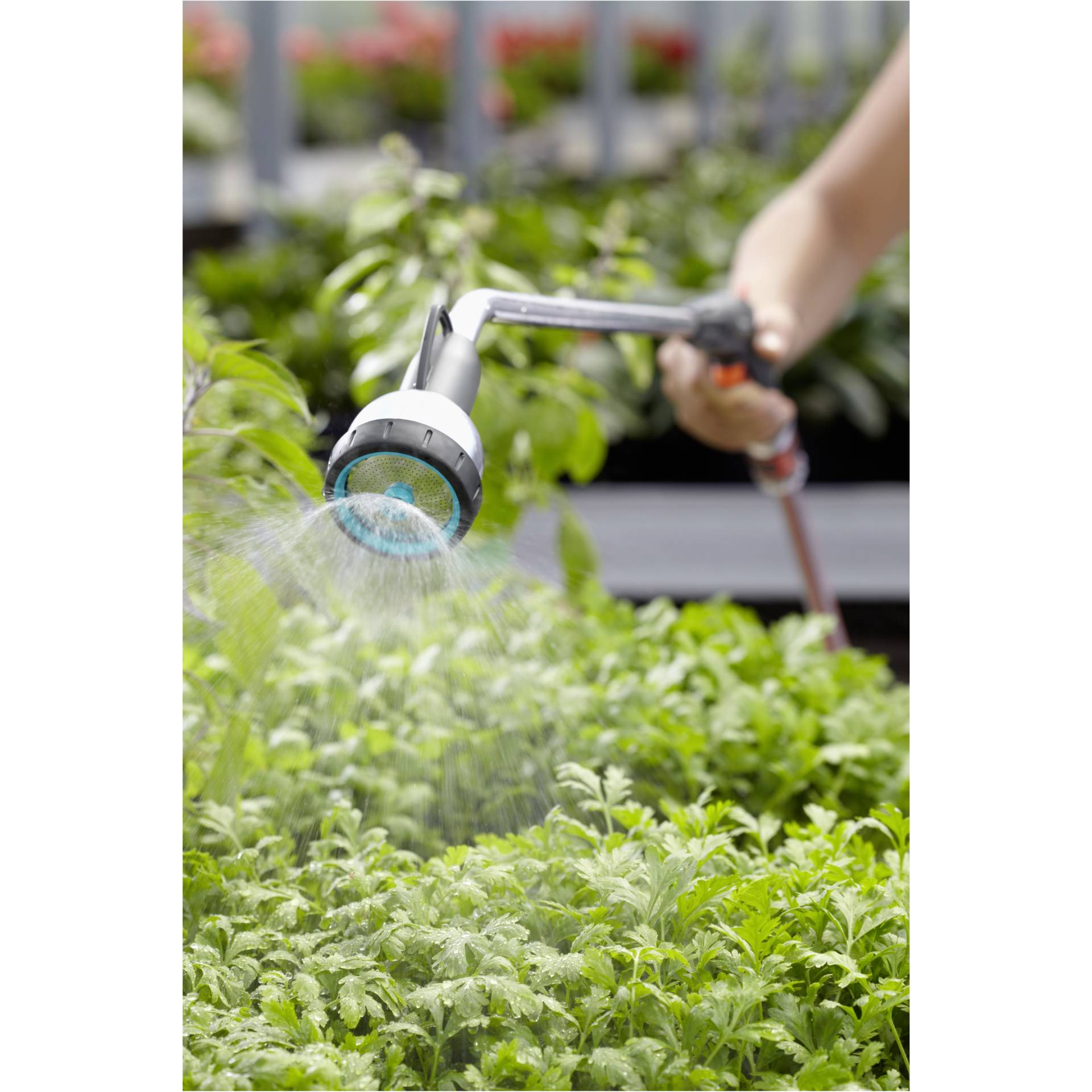 Garten, Natur, Draußen, Gartenarbeit, Drinnen