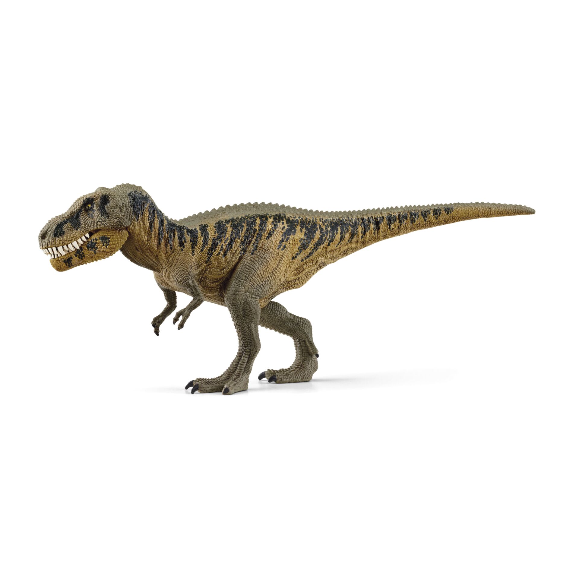 Tier, Dinosaurier, Reptil, T-Rex