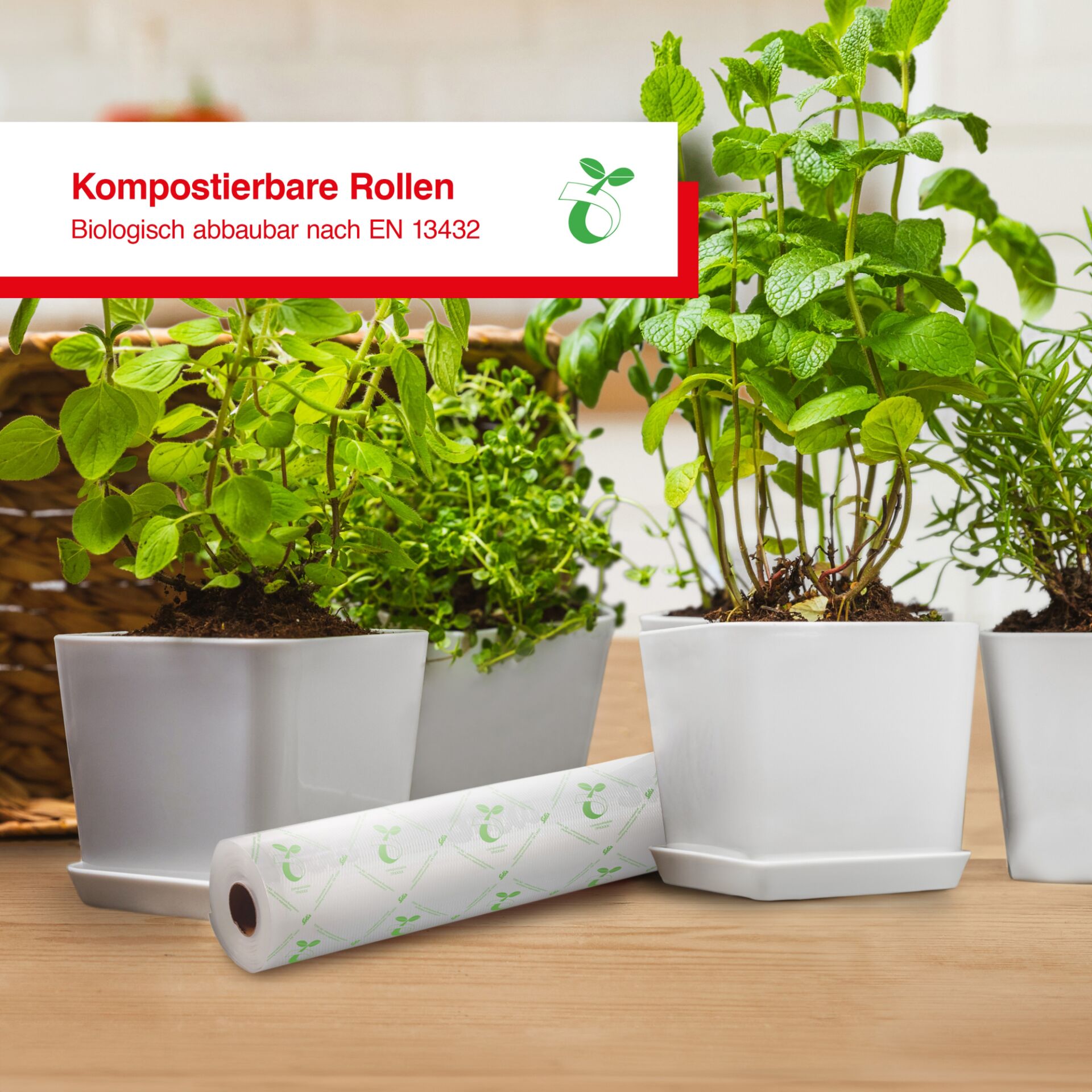 Kräuter, Pflanze, Pflanze im Topf, Minze, Kräuterig