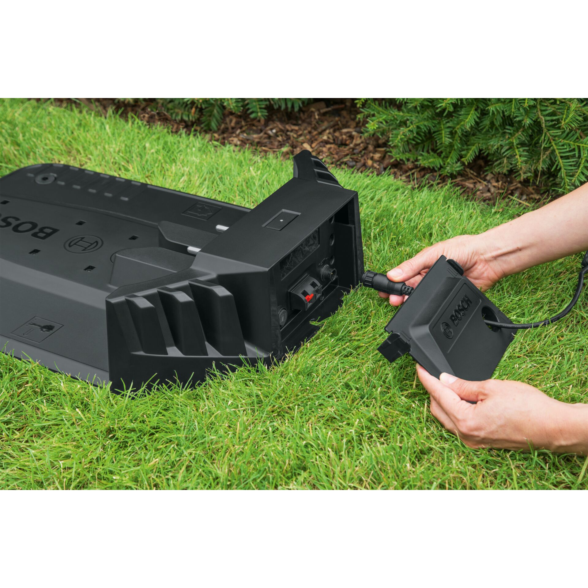 Gras, Rasen, Adapter, Elektronik, Videokamera