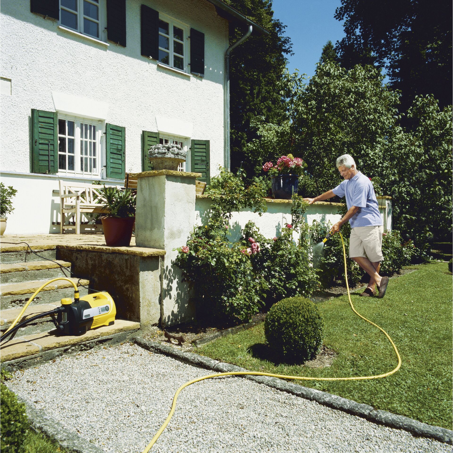 Garten, Natur, Topfpflanze, Hinterhof, Gartenarbeit, Garten, Natur, Topfpflanze, Hinterhof, Gartenarbeit