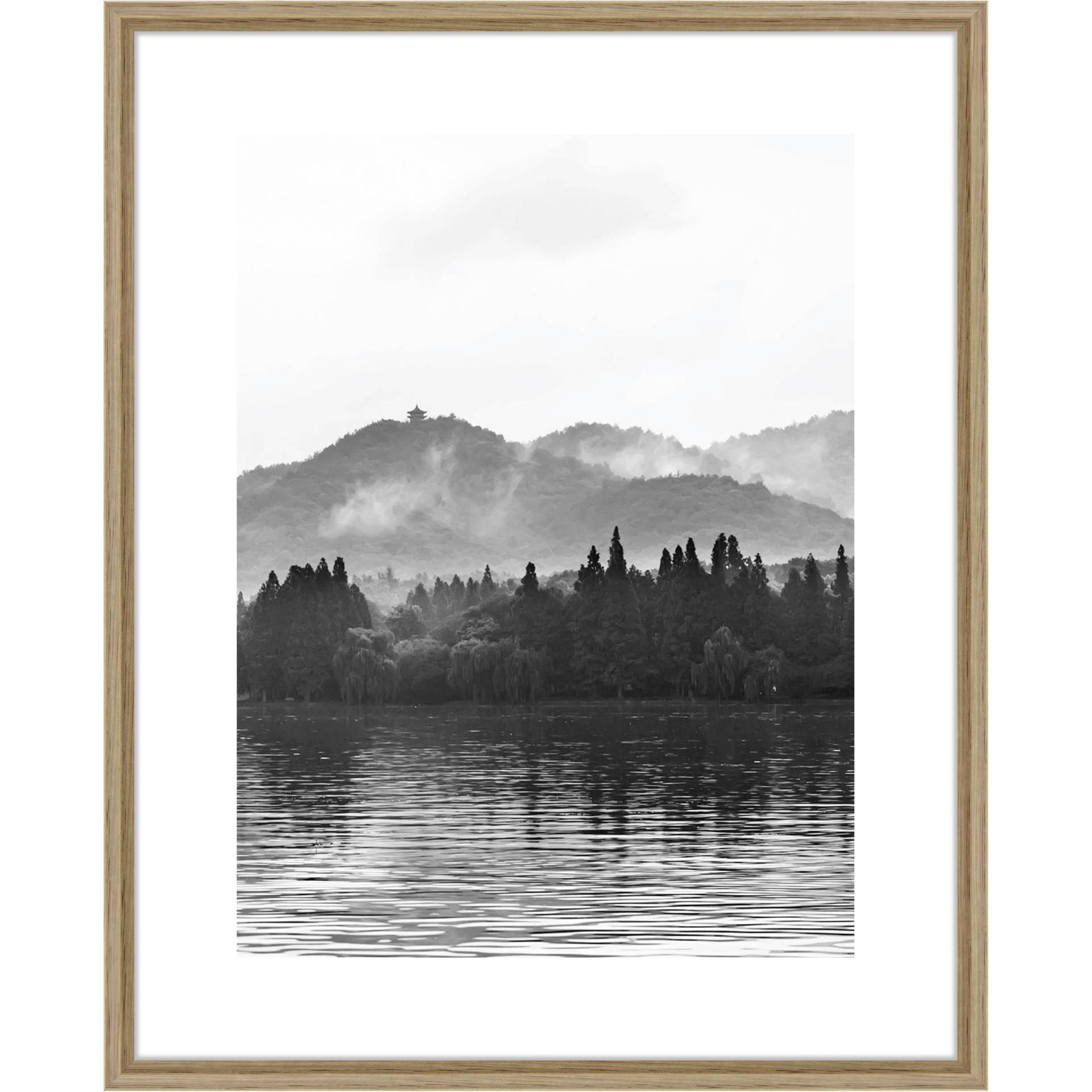 Baum, Natur, Draußen, Wetter, Tanne