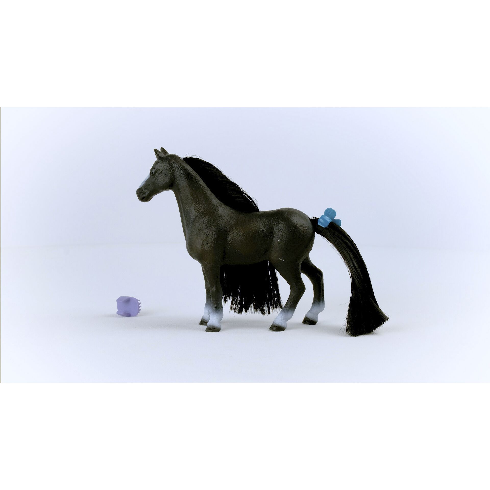 Andalusisches Pferd, Tier, Pferd, Säugetier, Colt Horse