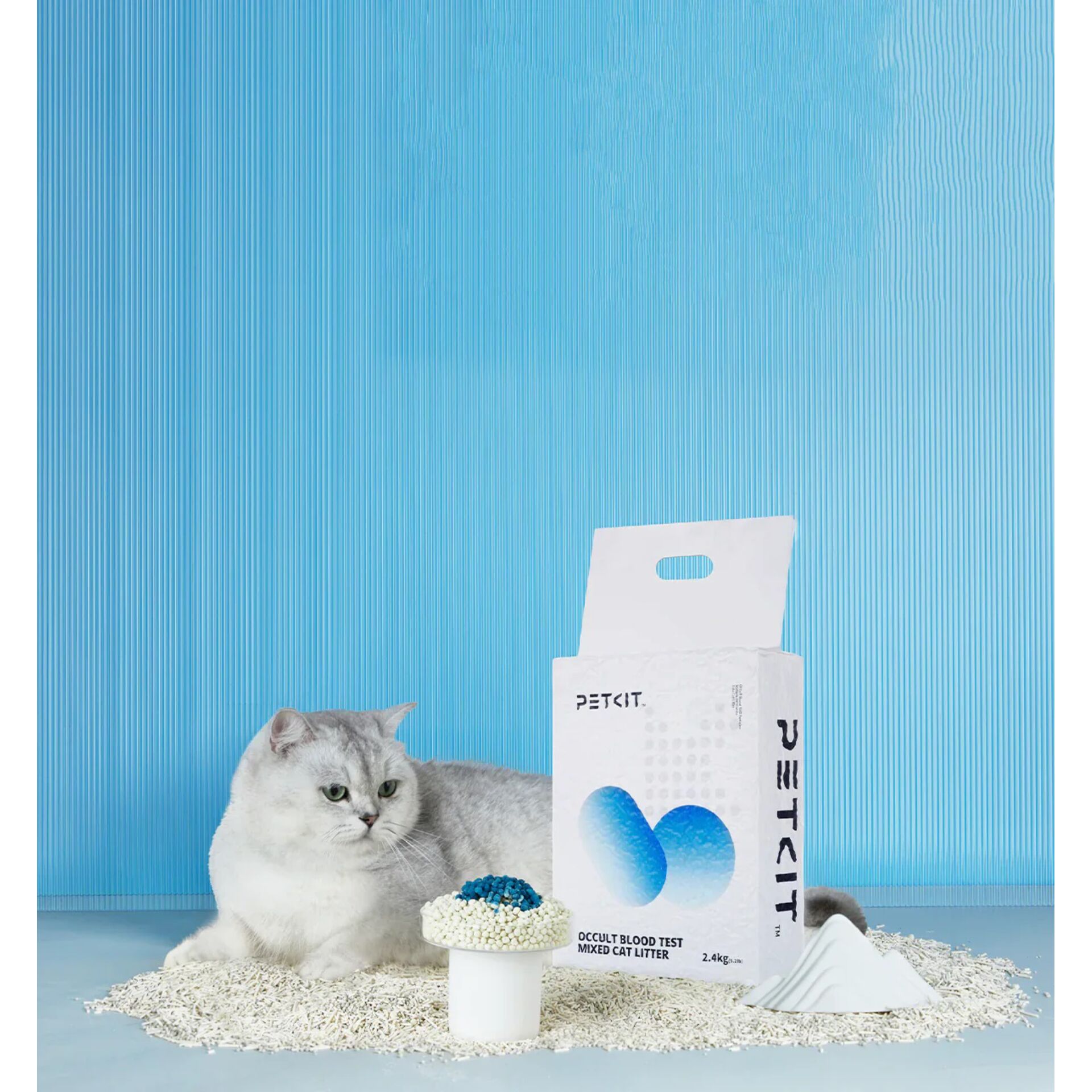 Tier, Katze, Säugetier, Haustier