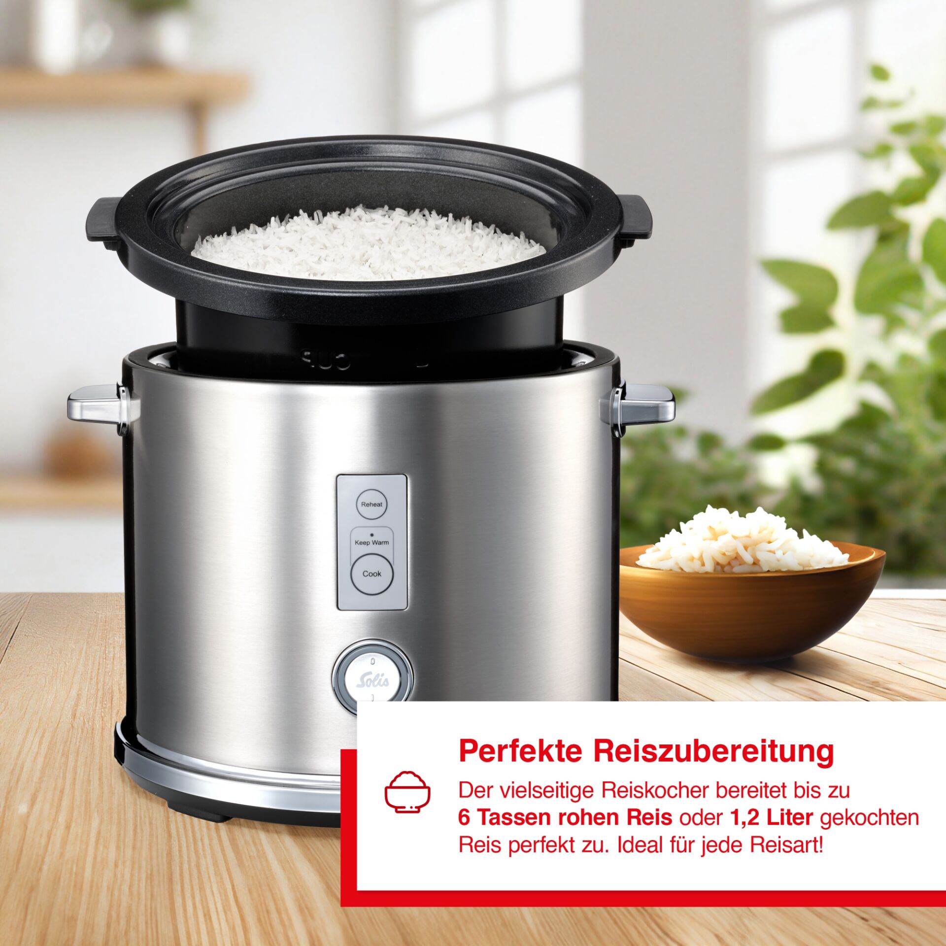 Gerät, Kocher, Elektrisches Gerät, Langsamer Kocher, Gerät, Kocher, Elektrisches Gerät, Langsamer Kocher