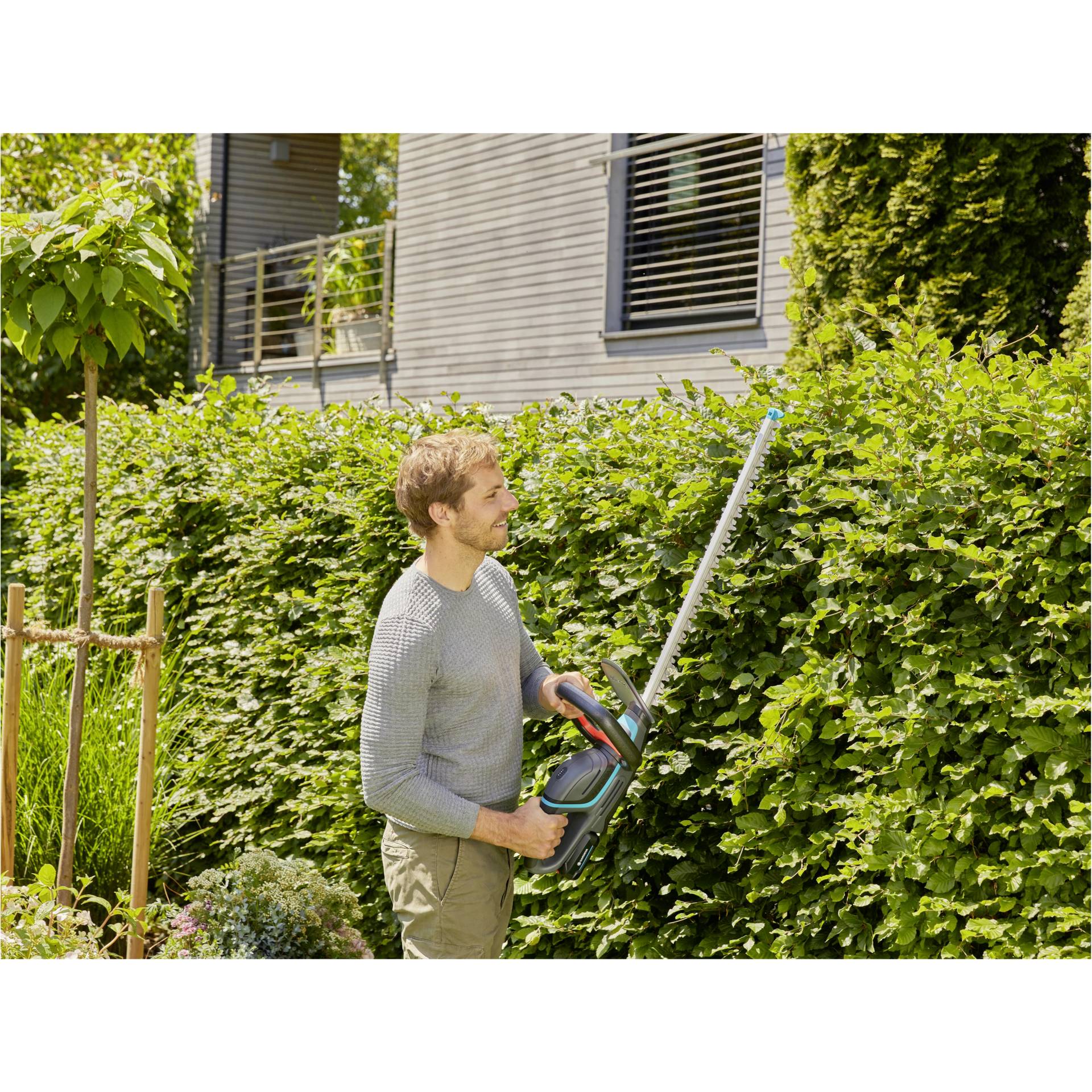 Innenarchitektur, Garten, Hecke, Mann, Person