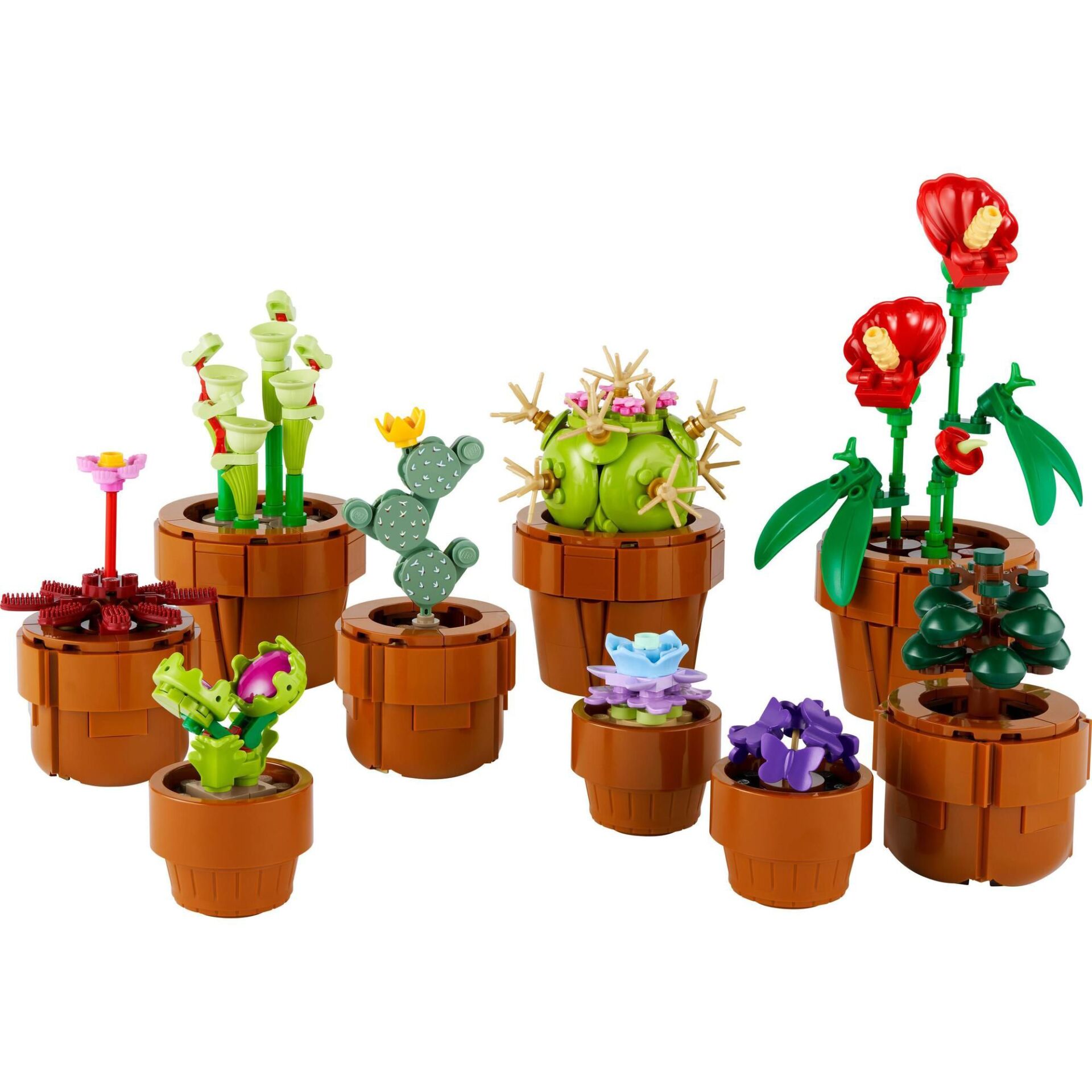 Topfpflanze, Krug, Pflanzgefäß, Töpferei, Blumen-Arrangement