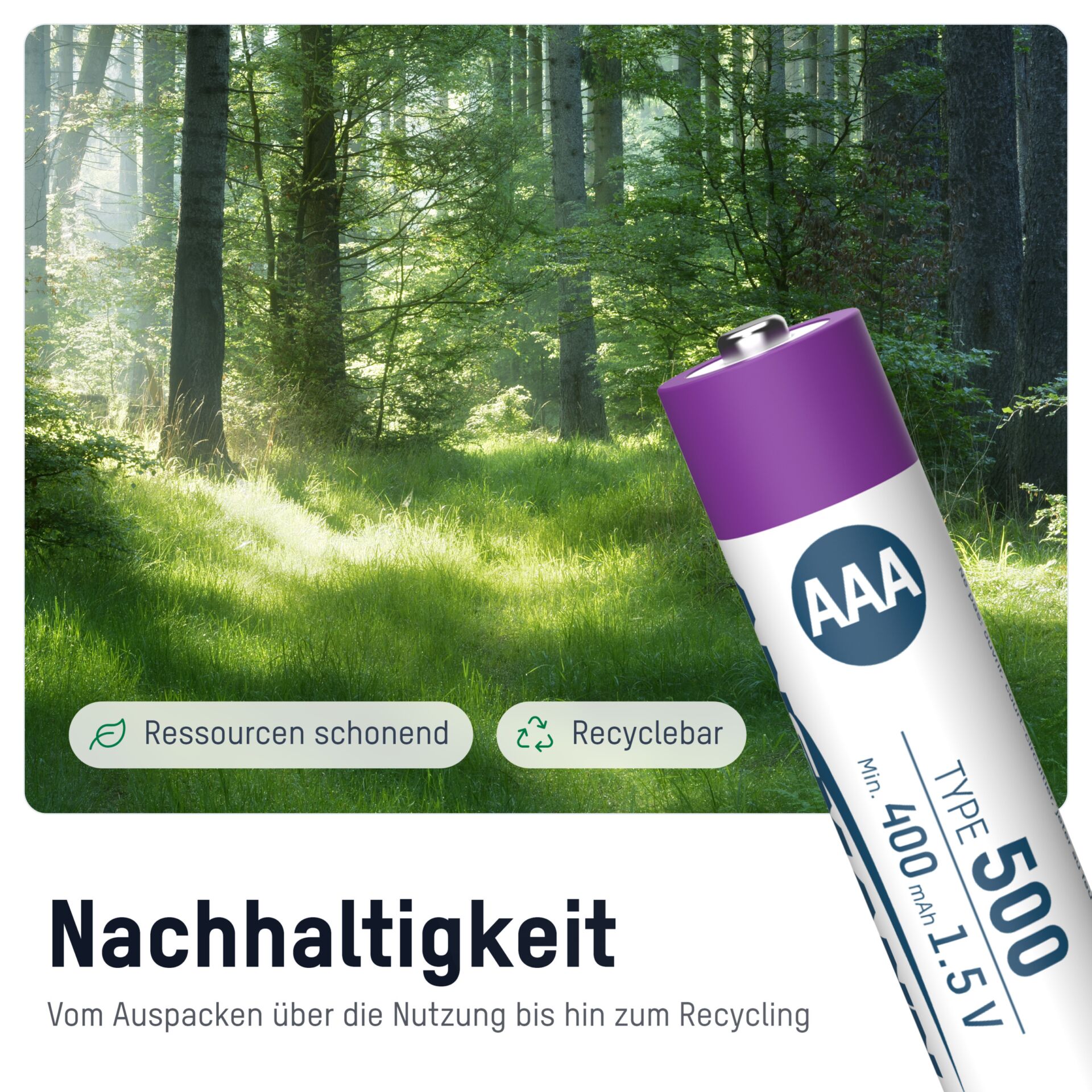 Pflanze, Vegetation