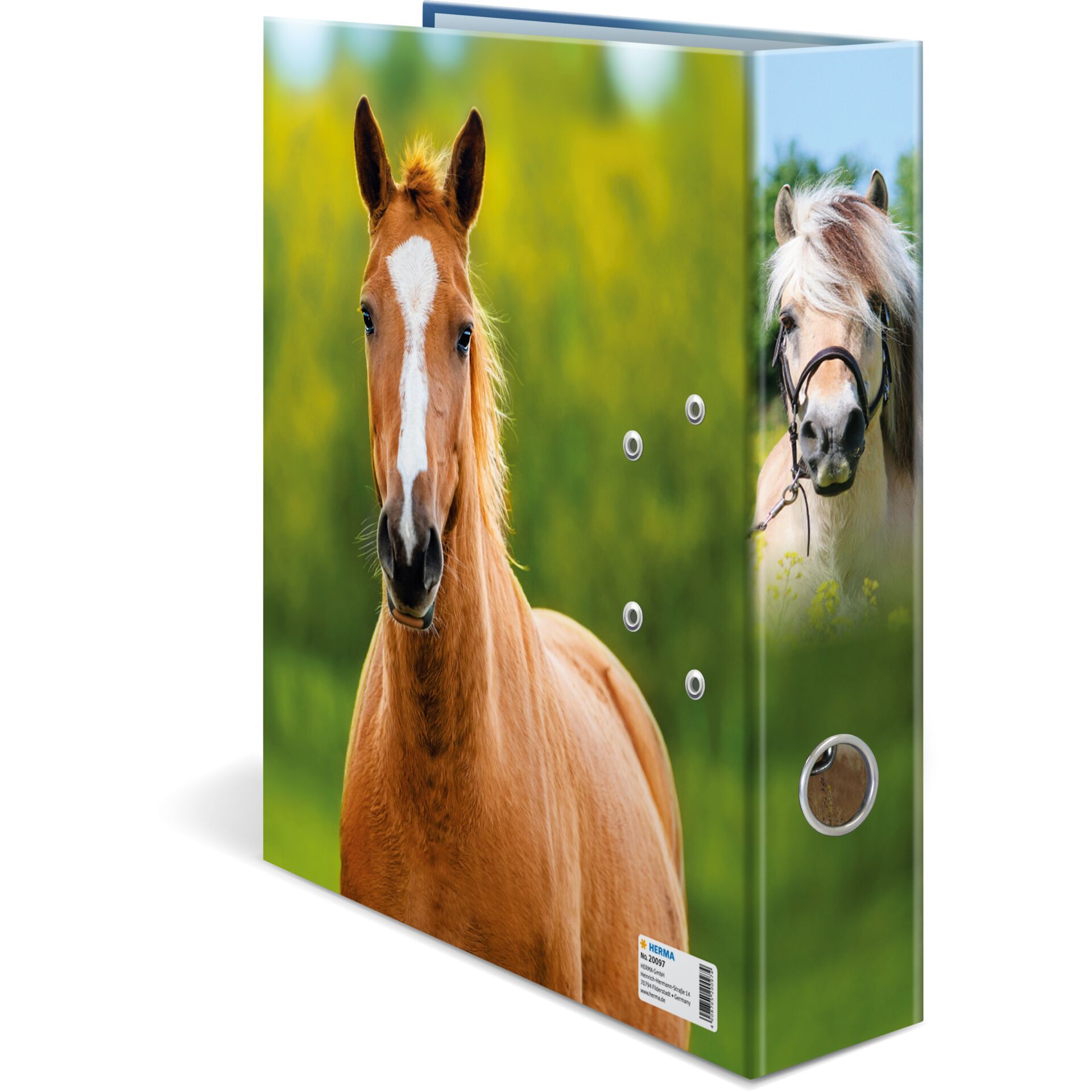 Pferd, Haltung, Halter, Binders, Tagesalbum