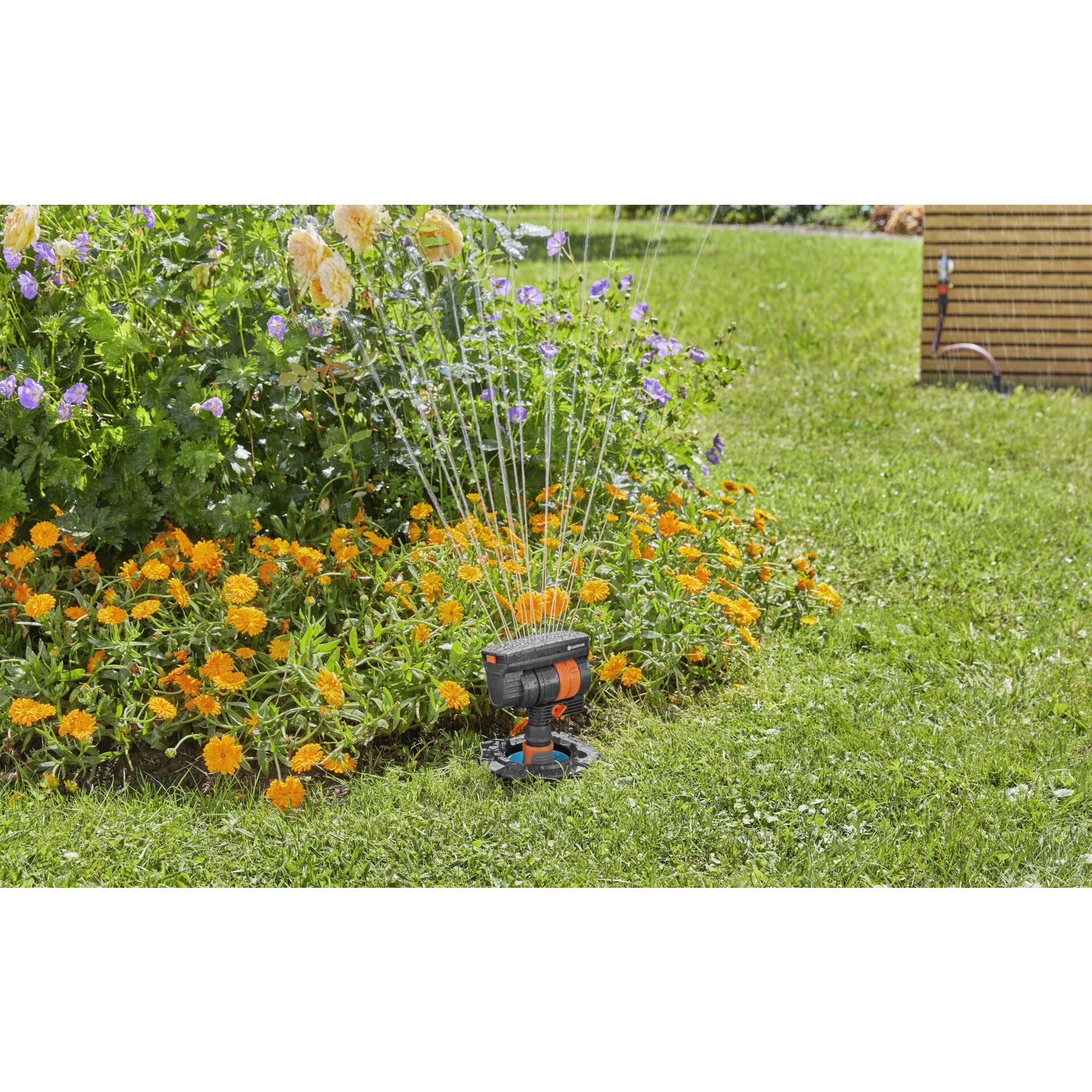 Gras, Rasen, Wasser, Garten, Innenarchitektur