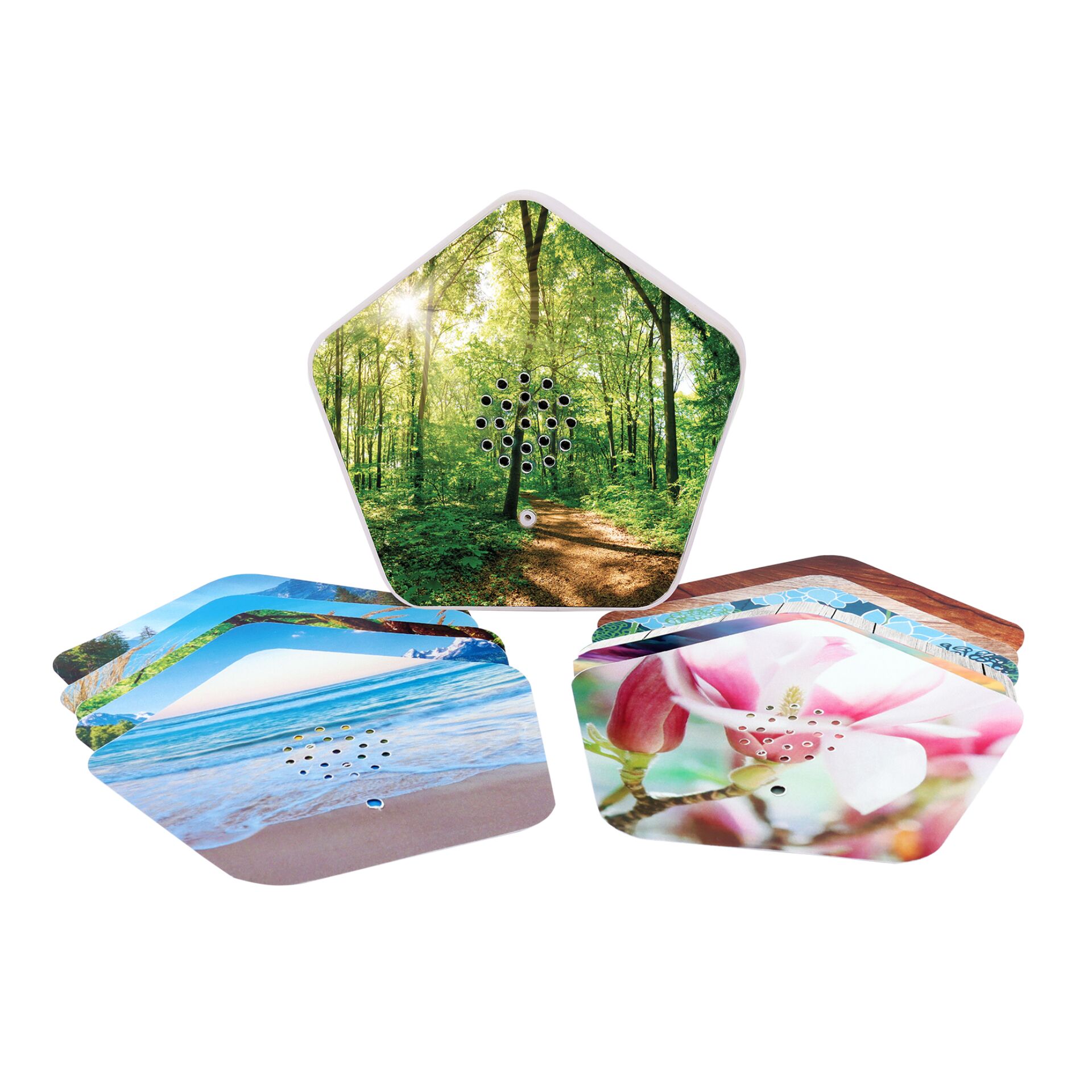 Blume, Blütenblatt, Pflanze, Glas