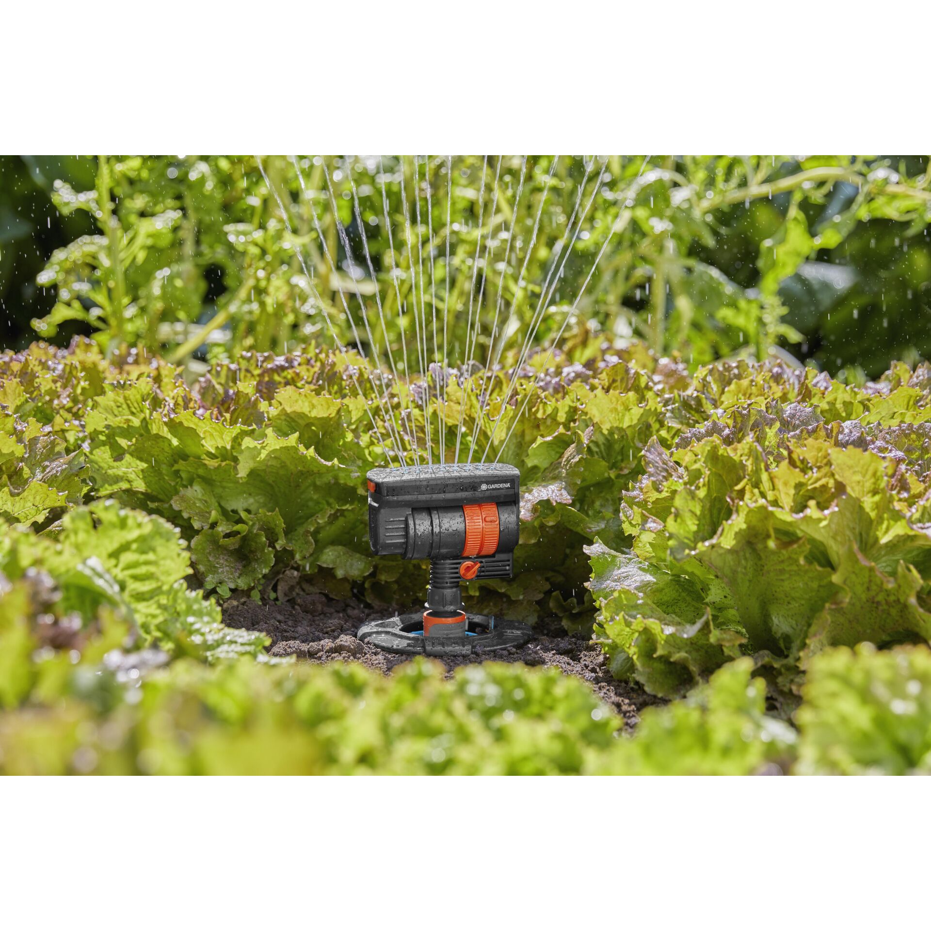 Wasser, Garten, Draußen, Maschine, Gras