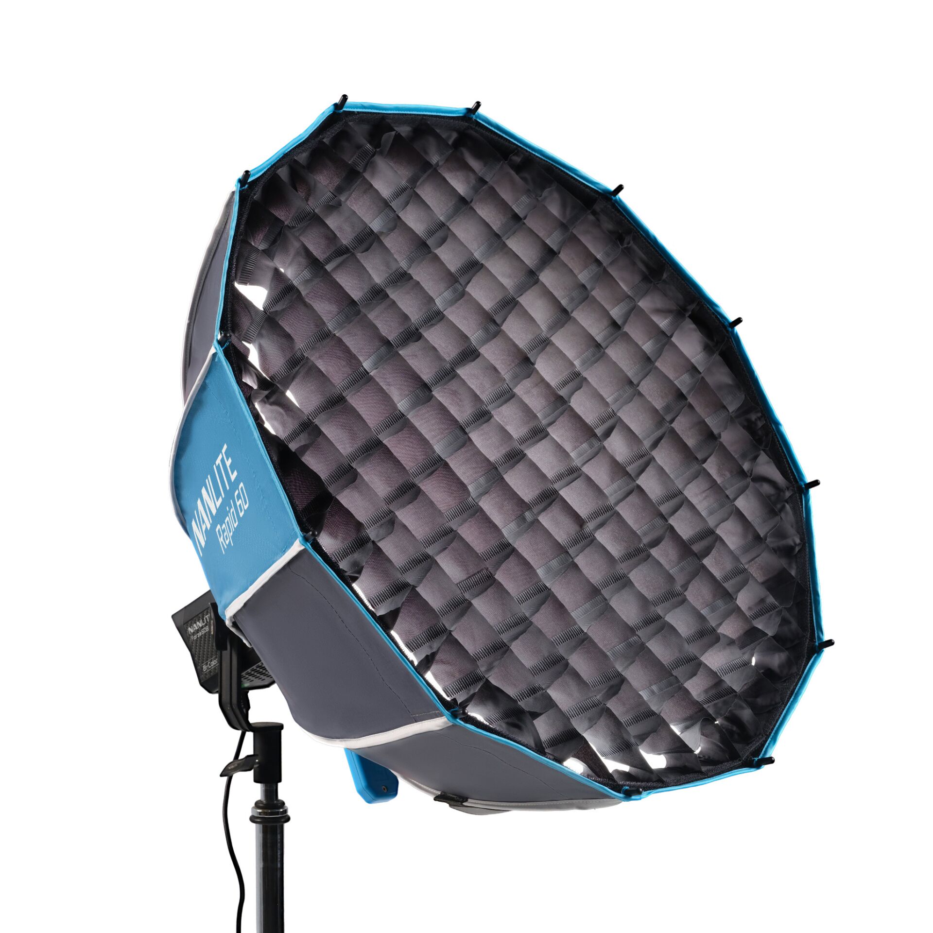 Softbox, Beleuchtung, Studio, Oktagon, Gridless