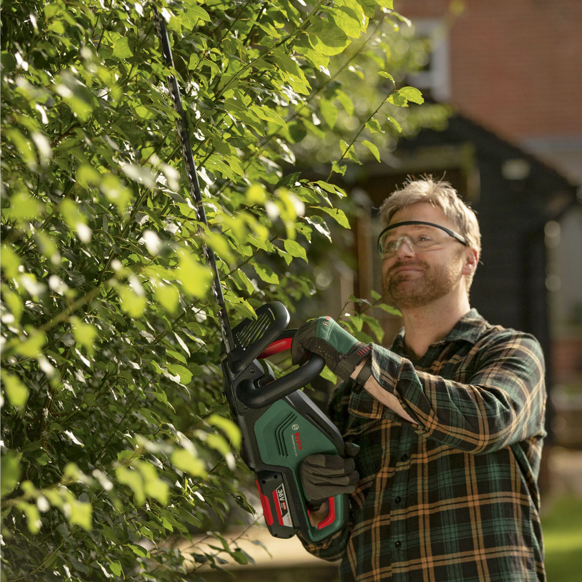 Garten, Draußen, Erwachsene, Mann, Person