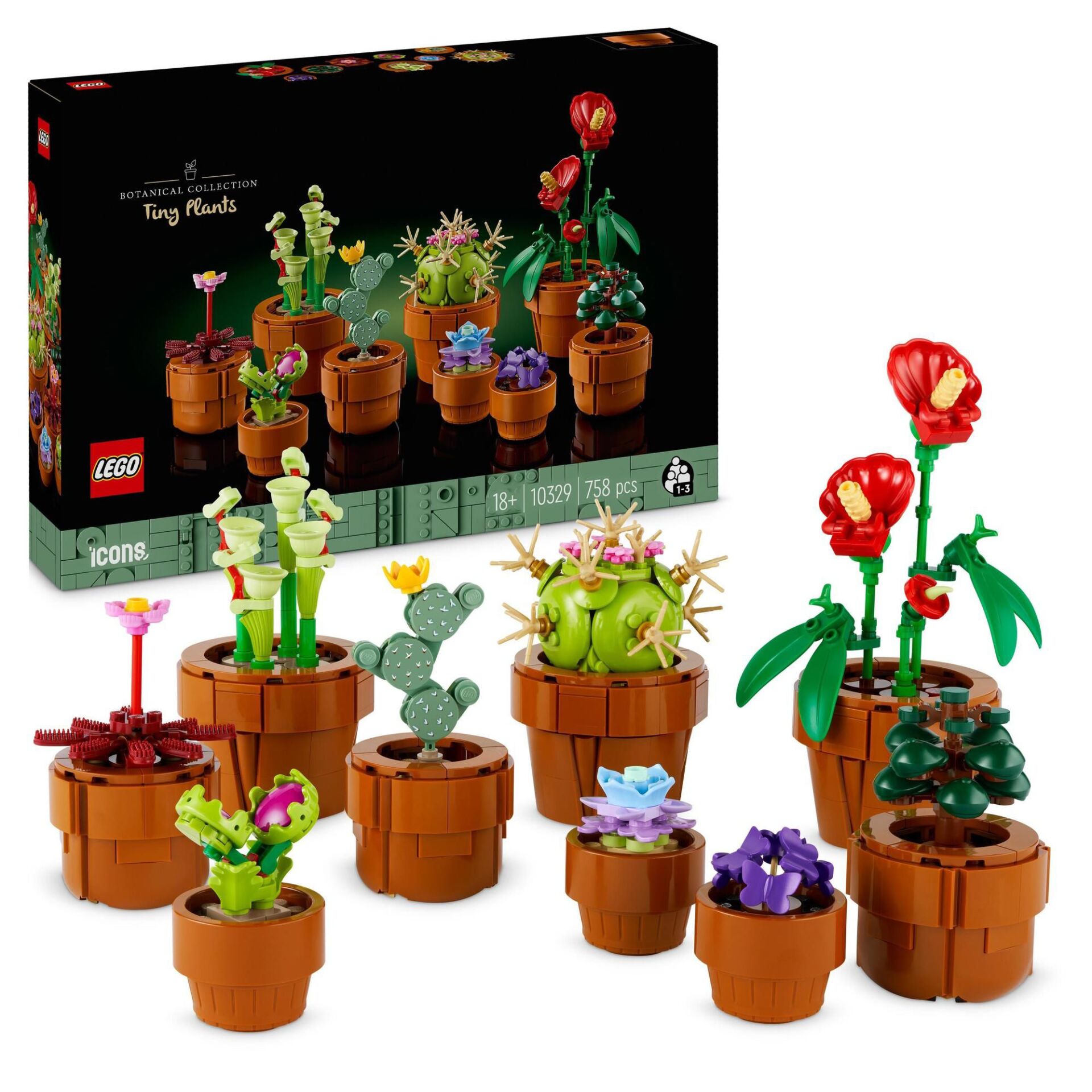 Pflanze, Pflanze im Topf, Blume, Blumen-Arrangement, Pflanzgefäß