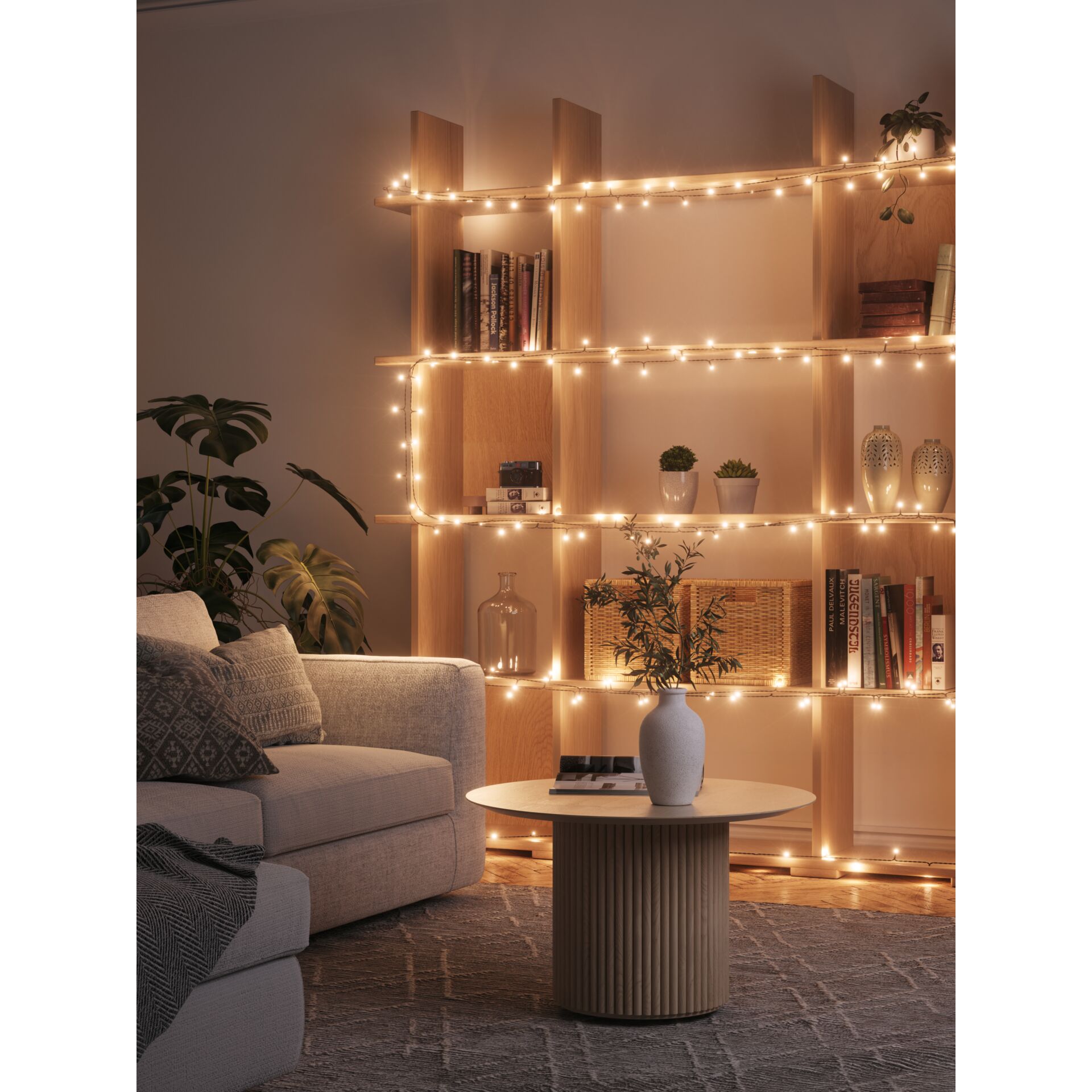 Pflanze, Mobiliar, Innenarchitektur, Bücherschrank, Wohnzimmer
