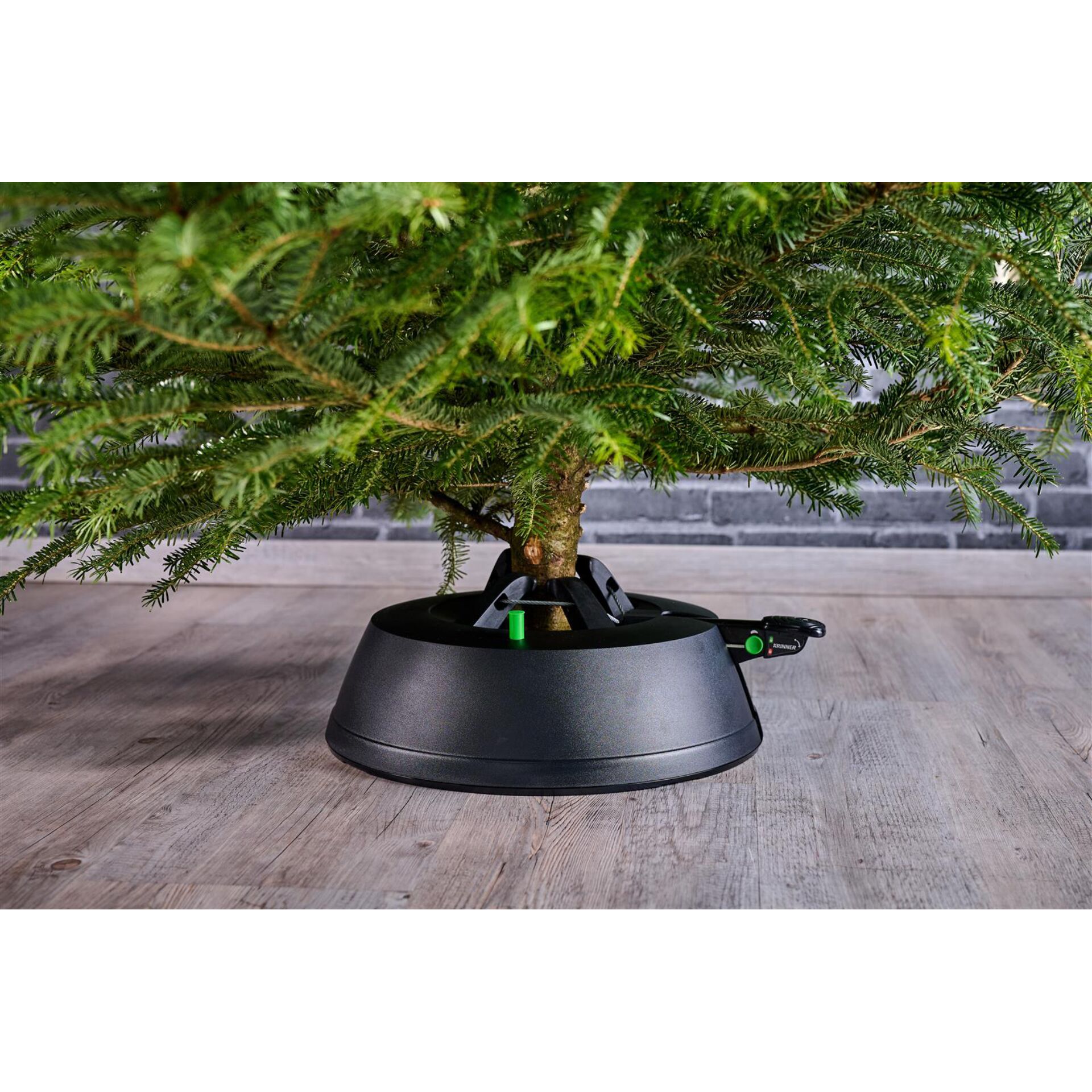 Pflanze, Pflanze im Topf, Baum, Konifer, Pflanzgefäß