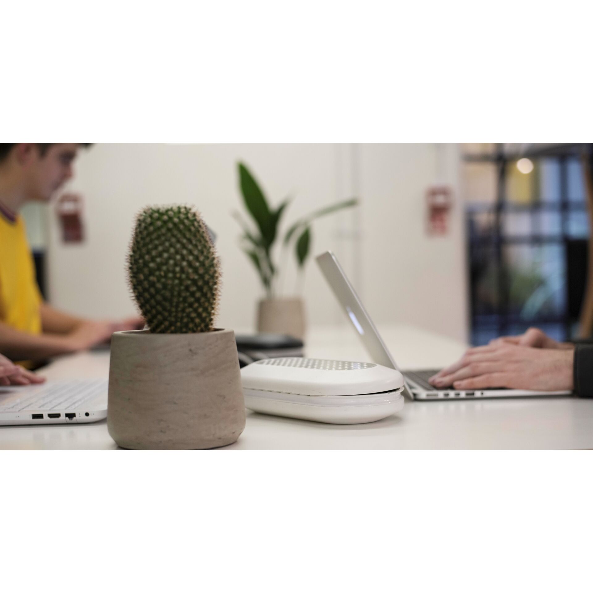 Laptop, PC, Pflanze, Person, Tabelle