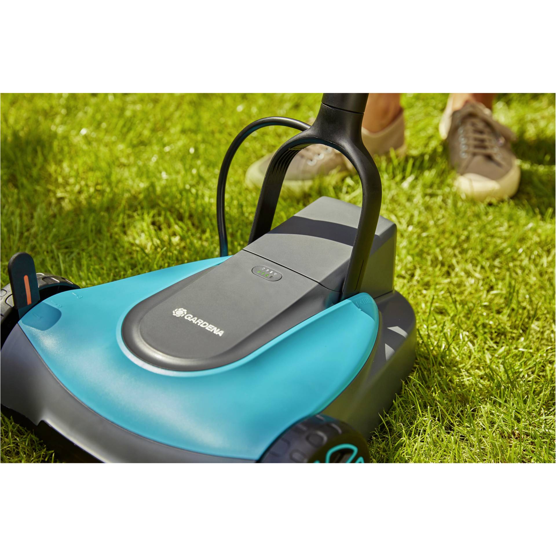 Gras, Rasen, Pflanze, Gerät, Rasenmäher