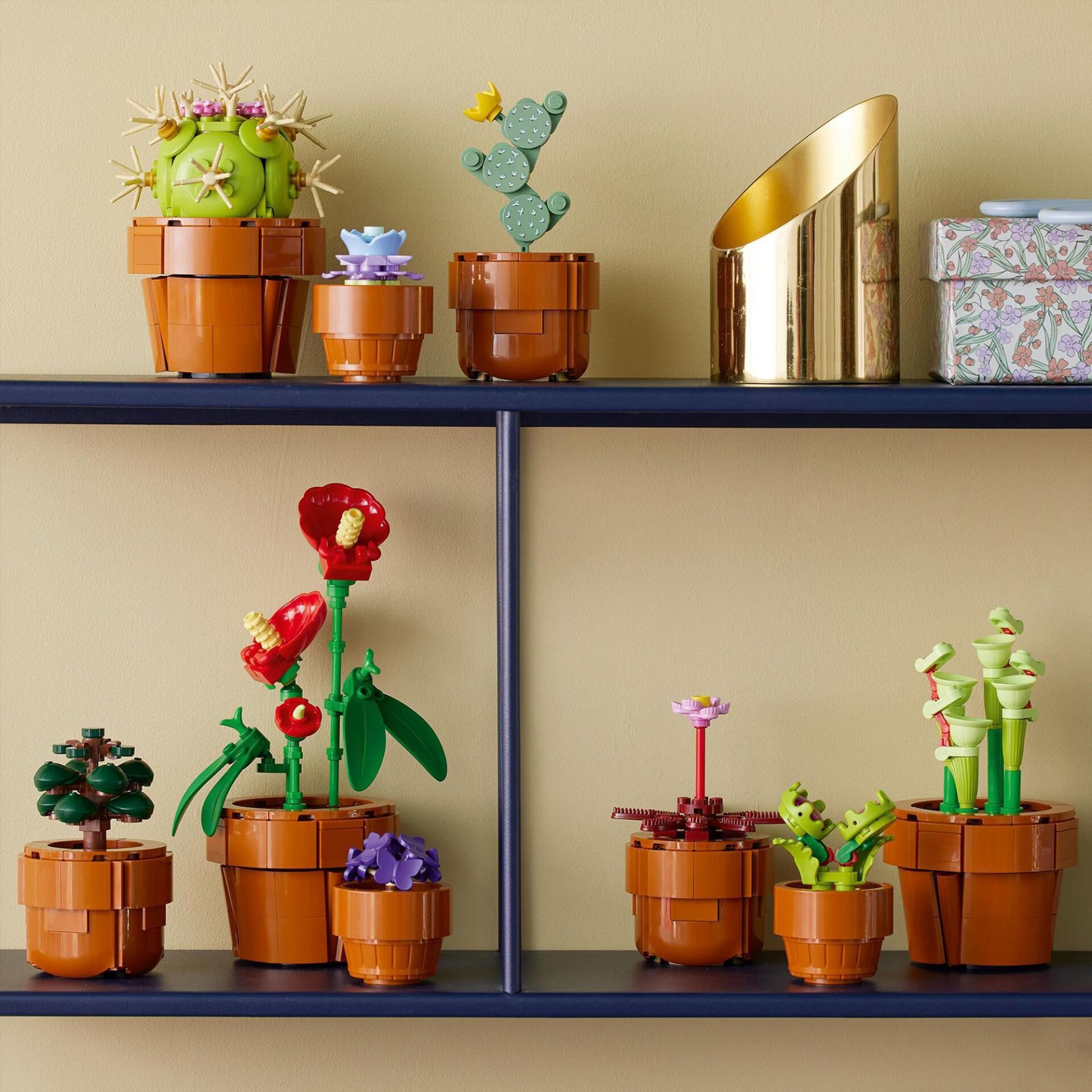Moebel, Pflanze, Regal, Bücherschrank