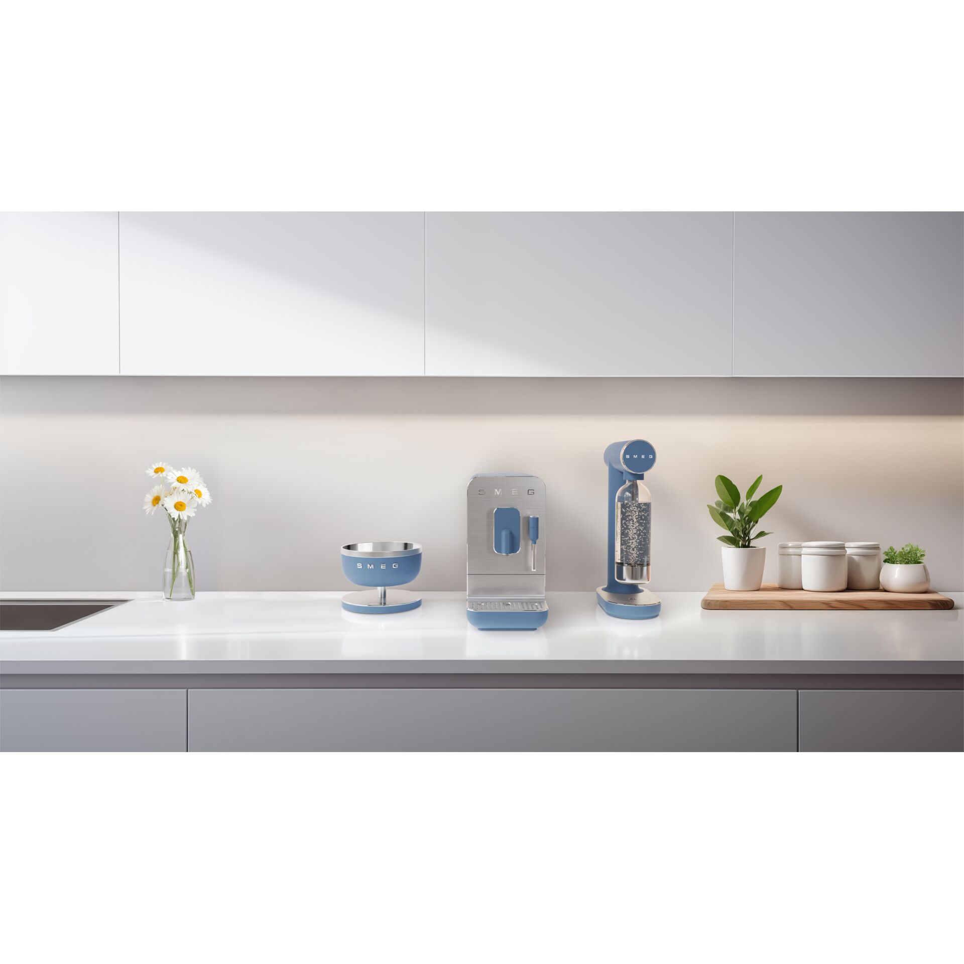 Pflanze, Drinnen, Innenarchitektur