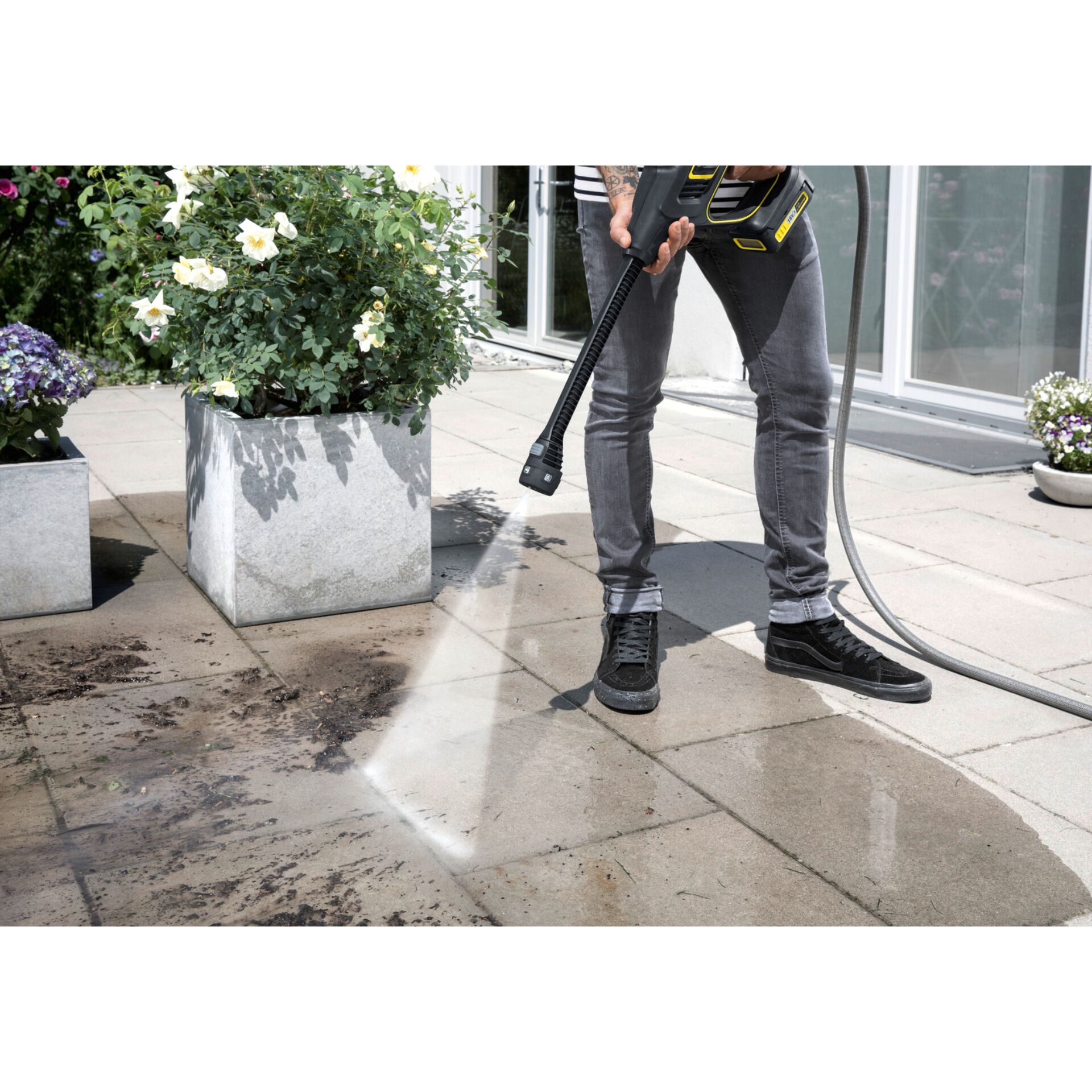 Pflanze, Pflanze im Topf, Drinnen, Innenarchitektur, E-Scooter, Pflanze, Pflanze im Topf, Drinnen, Innenarchitektur, E-Scooter