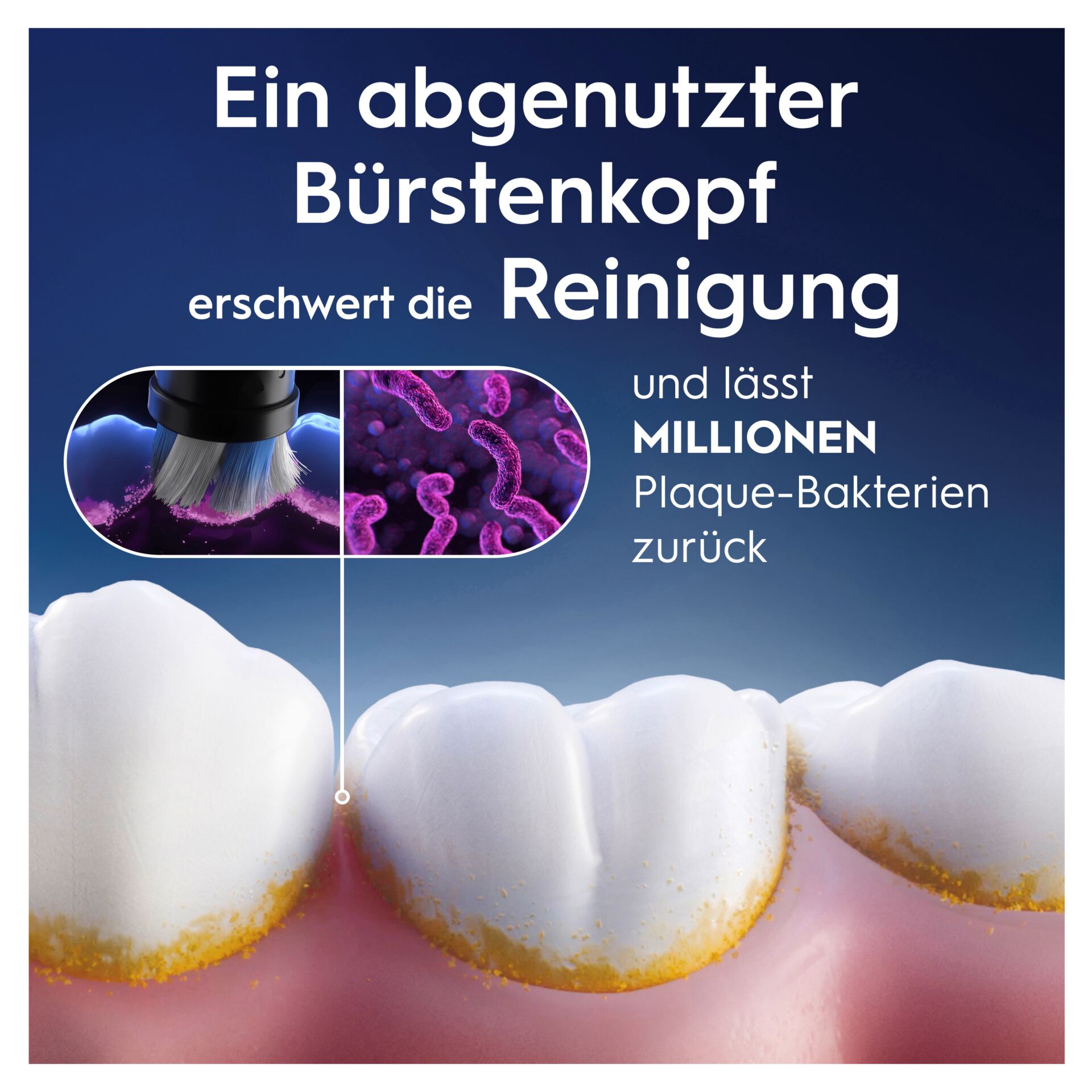 Werbung, Person, Zähne, Bürste, Plakat
