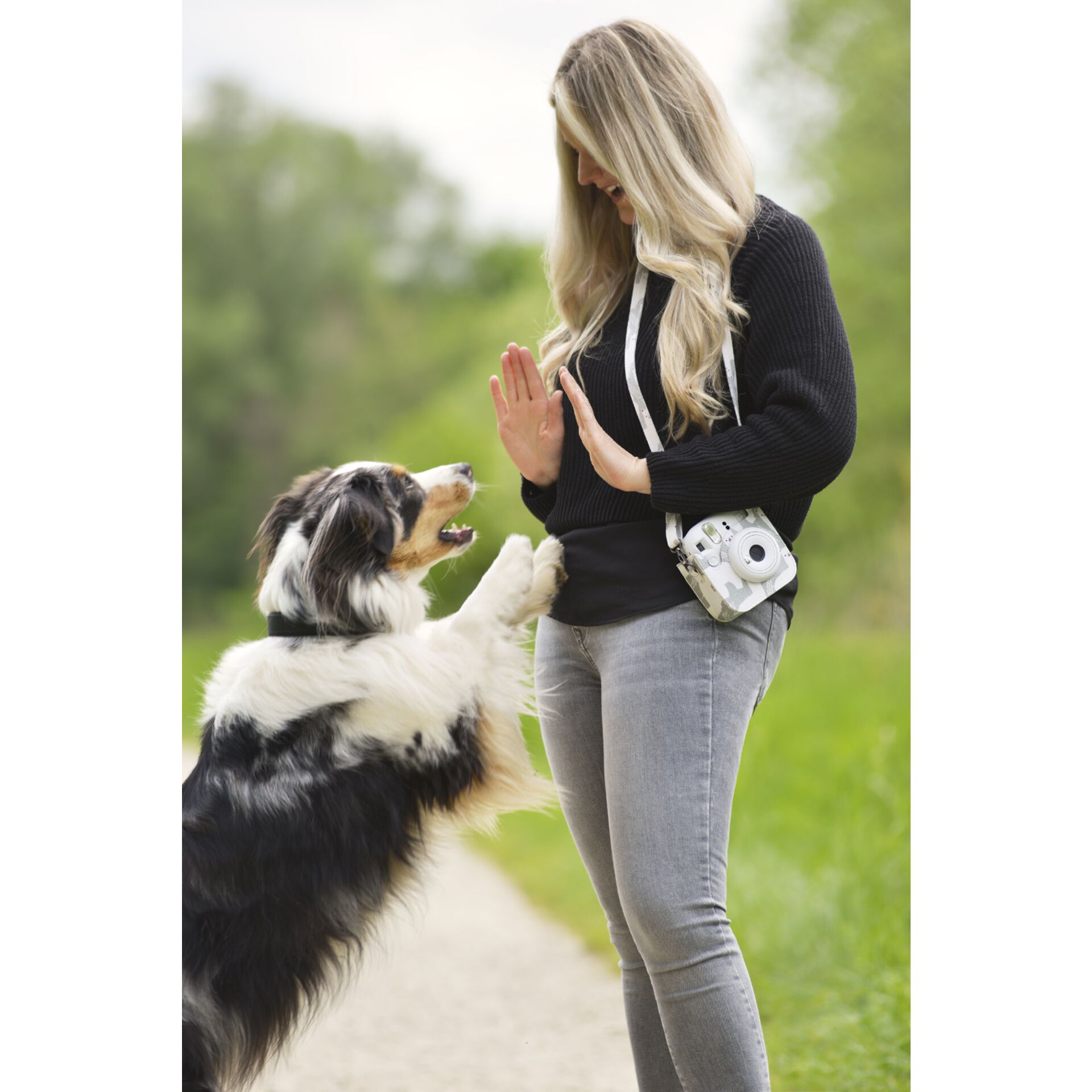 Person, Hund, Haustier, Spazierender Hund