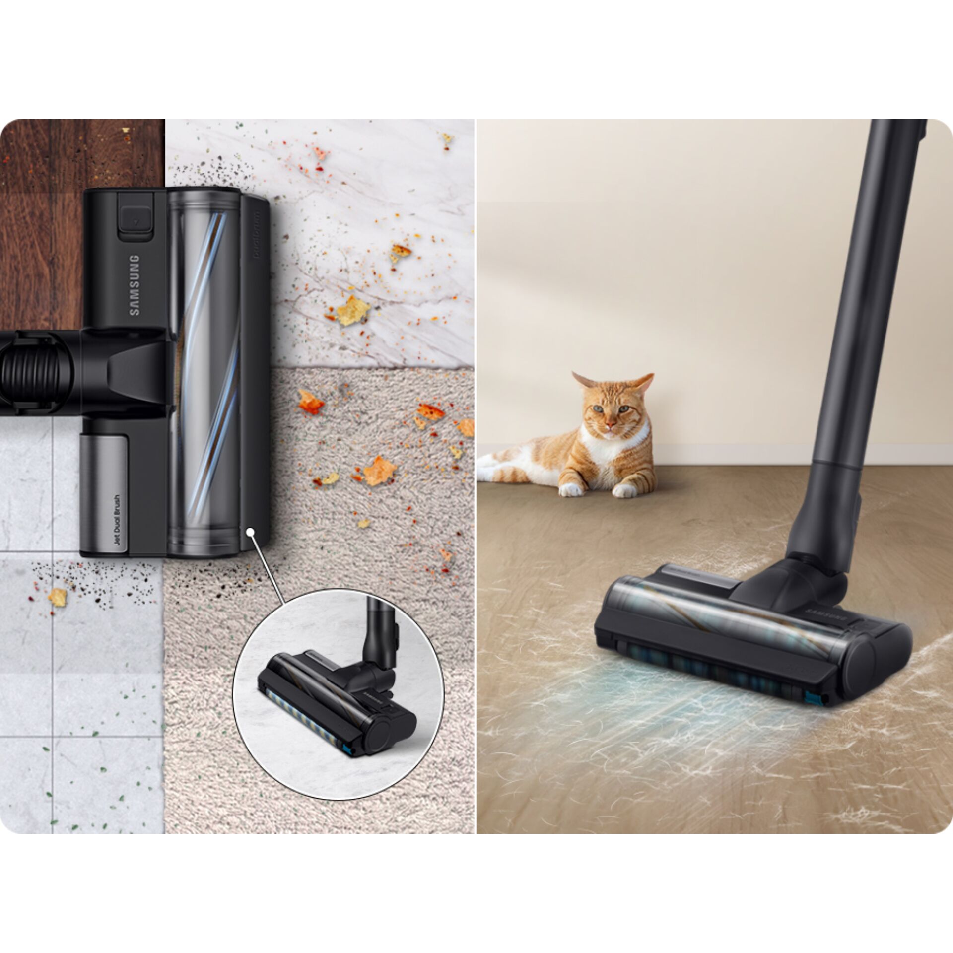 Tier, Katze, Säugetier, Haustier