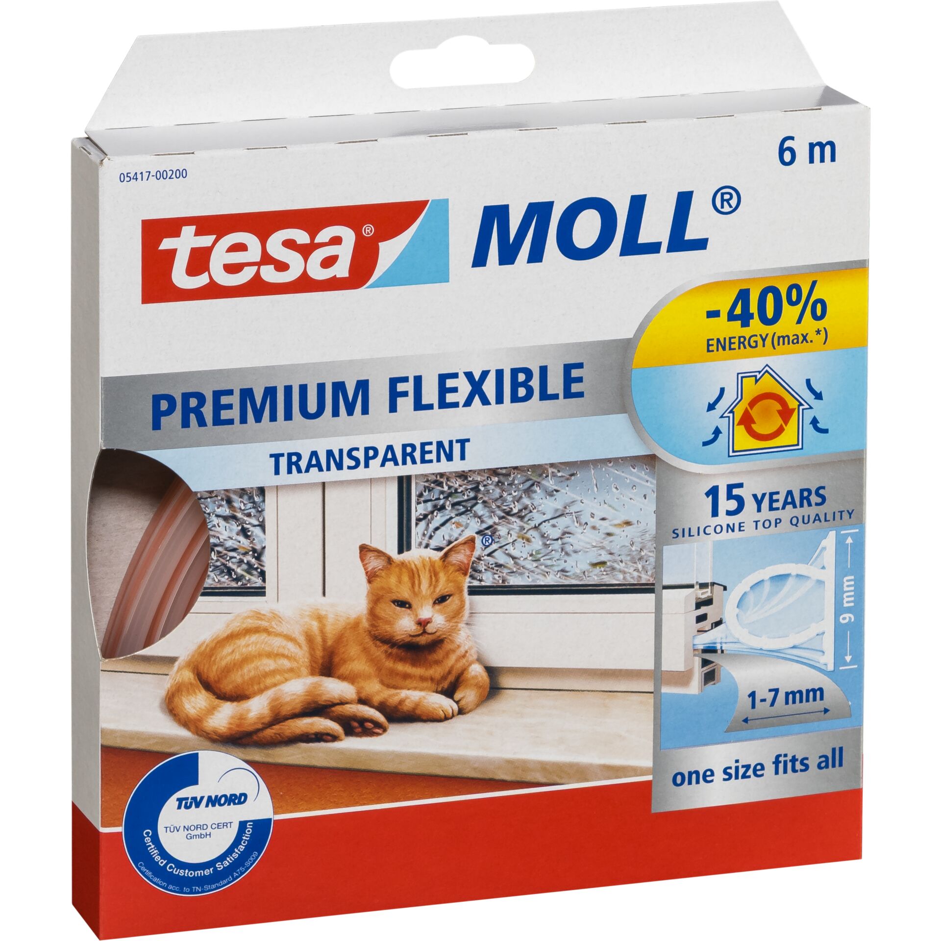 Kiste, Tier, Katze, Säugetier, Haustier