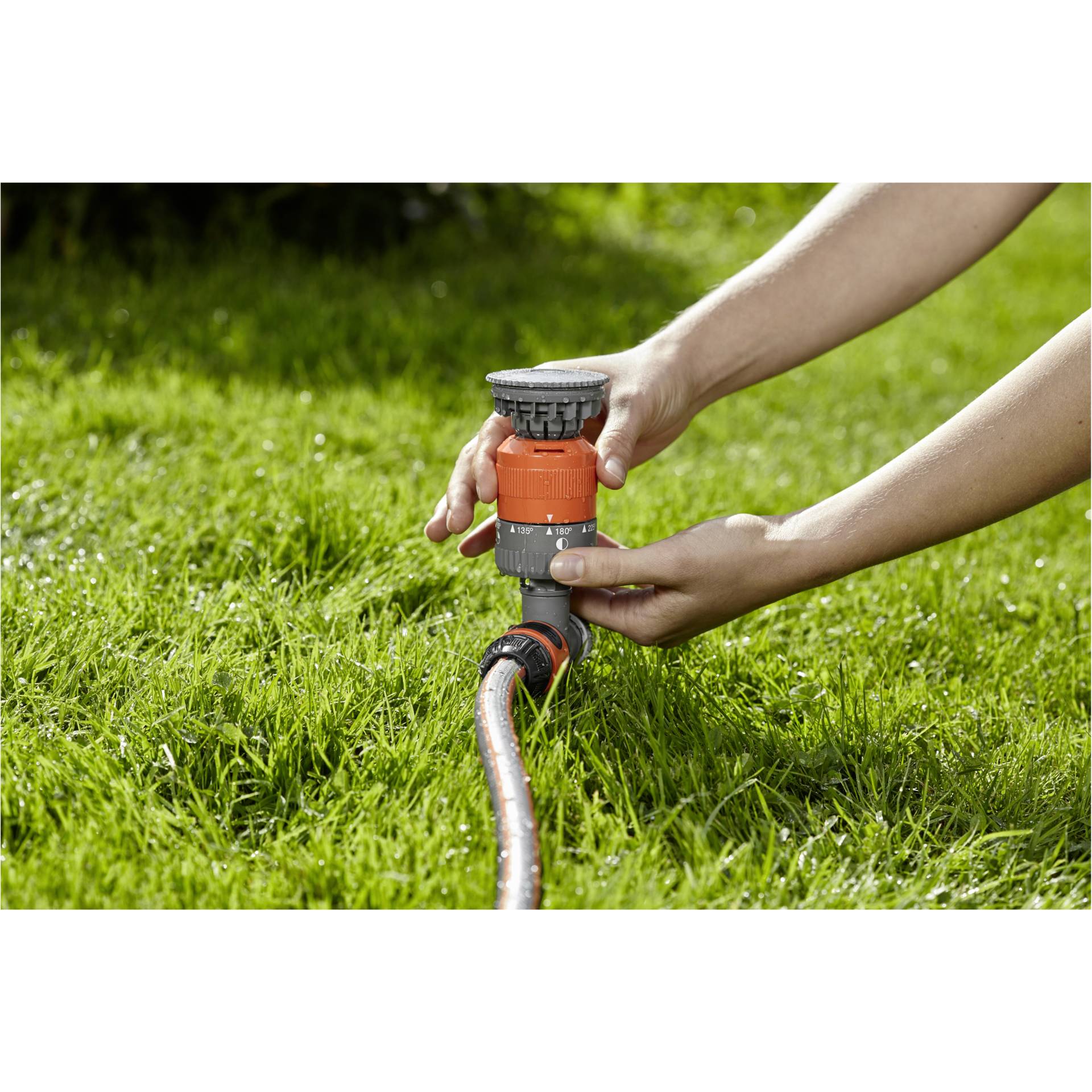 Gras, Pflanze, Rasen, Wasser, Innenarchitektur