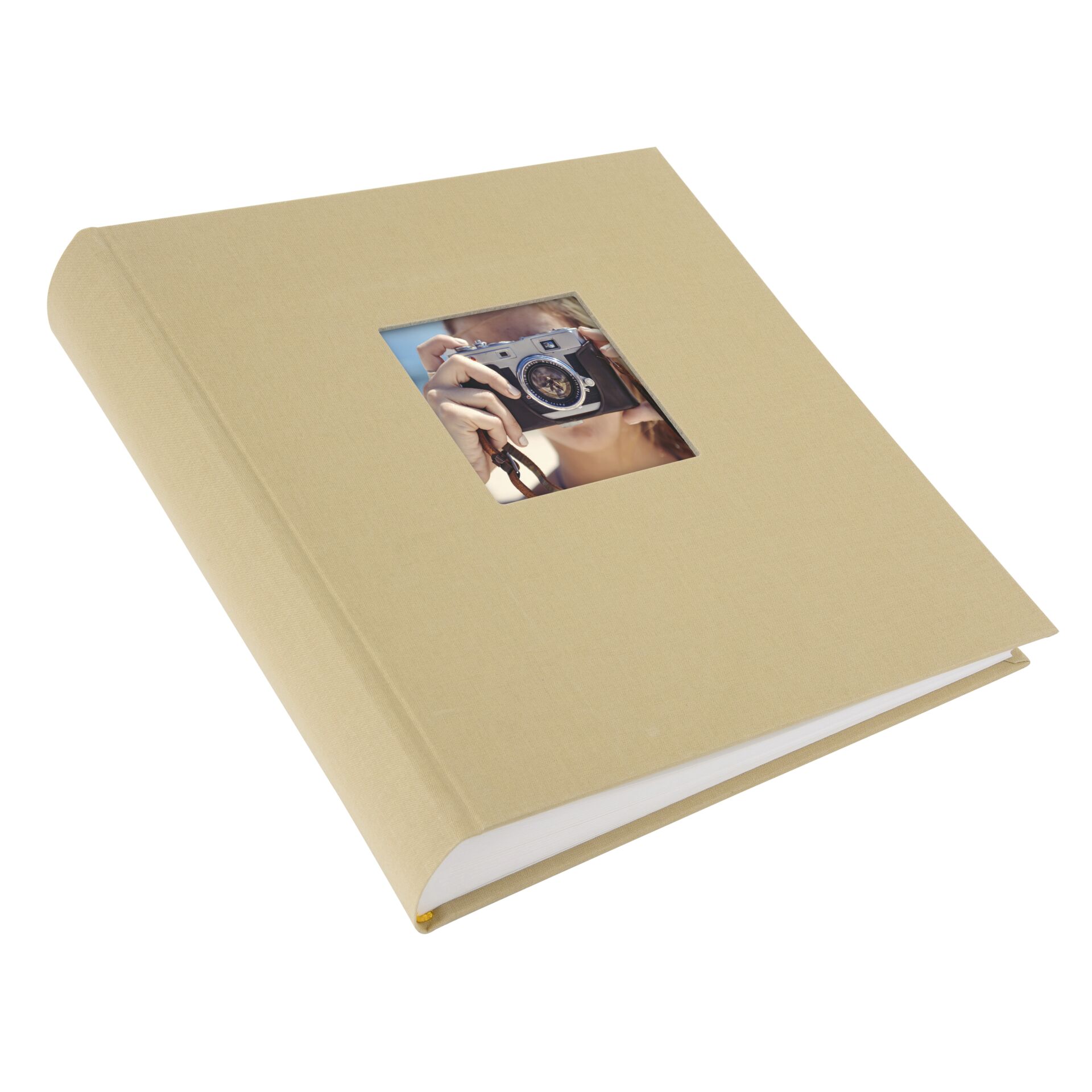 Tagebuch, Buch, Veröffentlichung