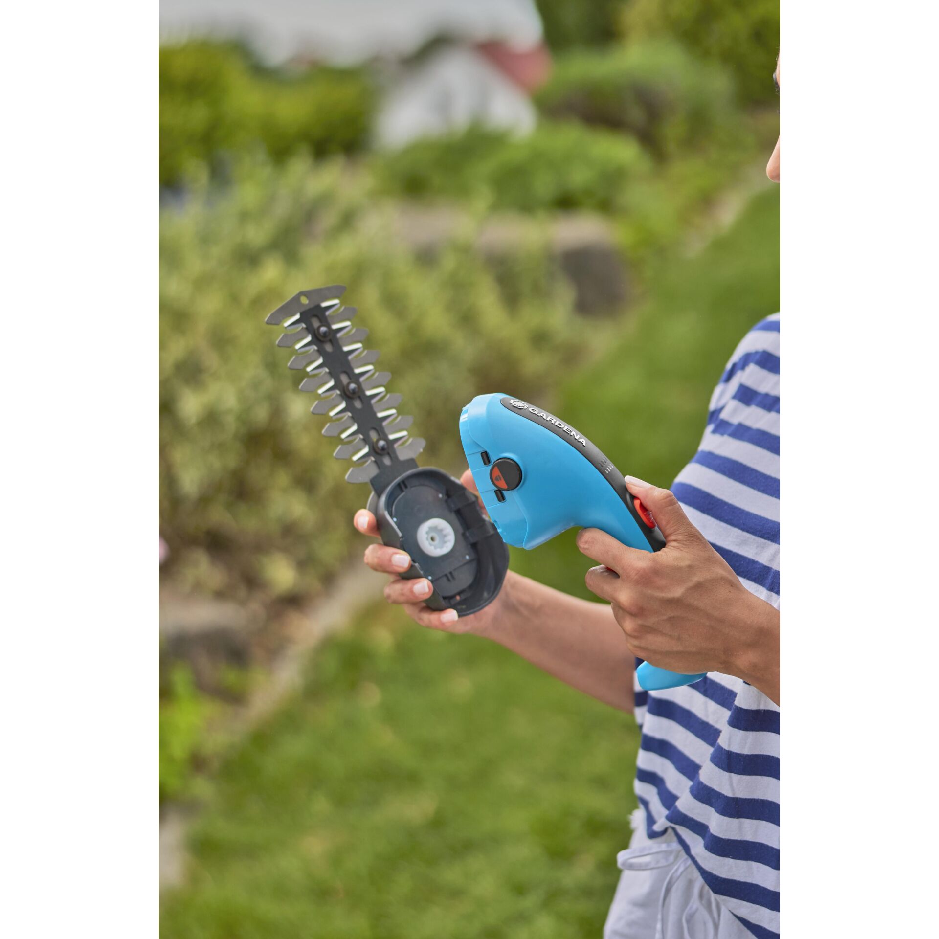 Person