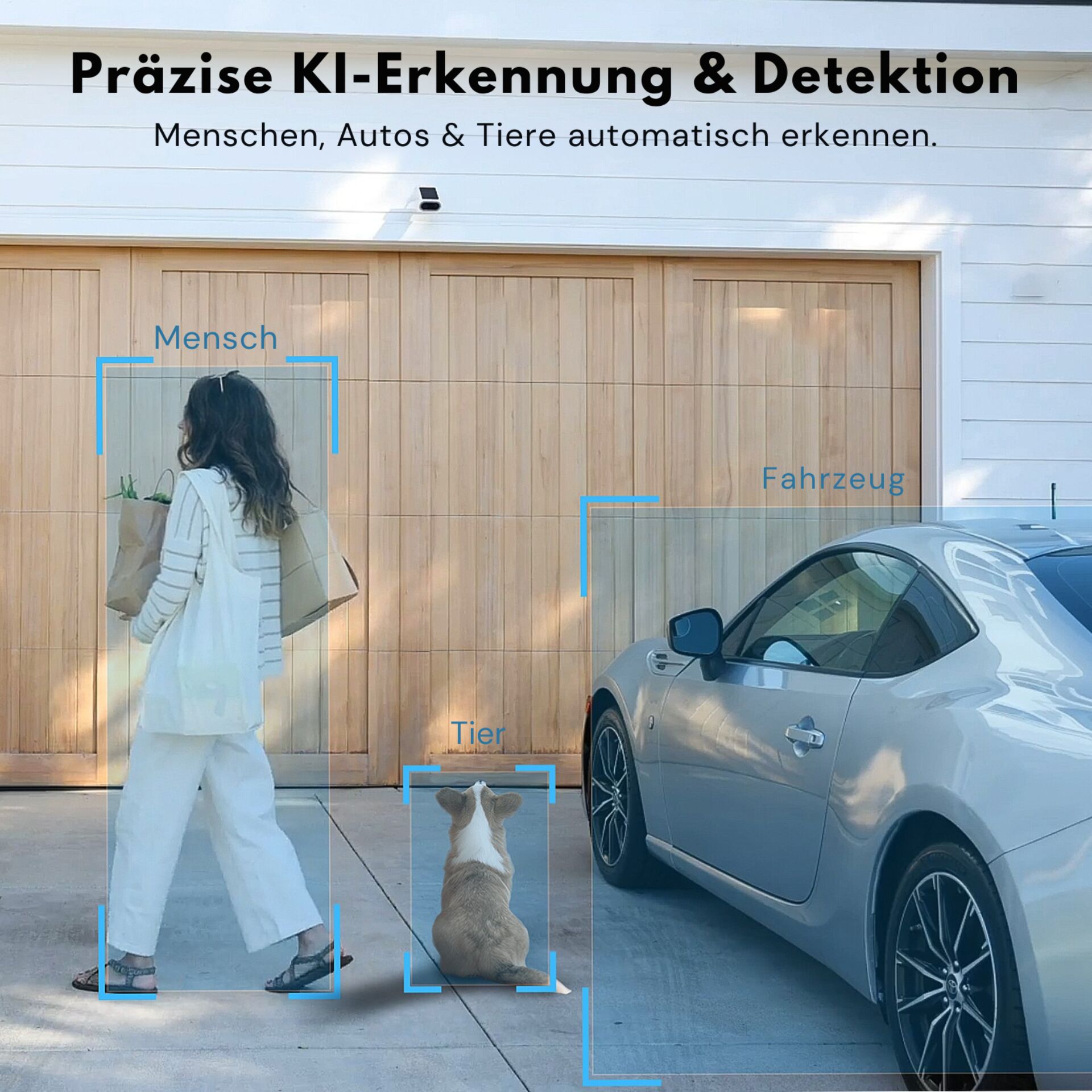 Person, Frau, Tasche, Auto, Hund