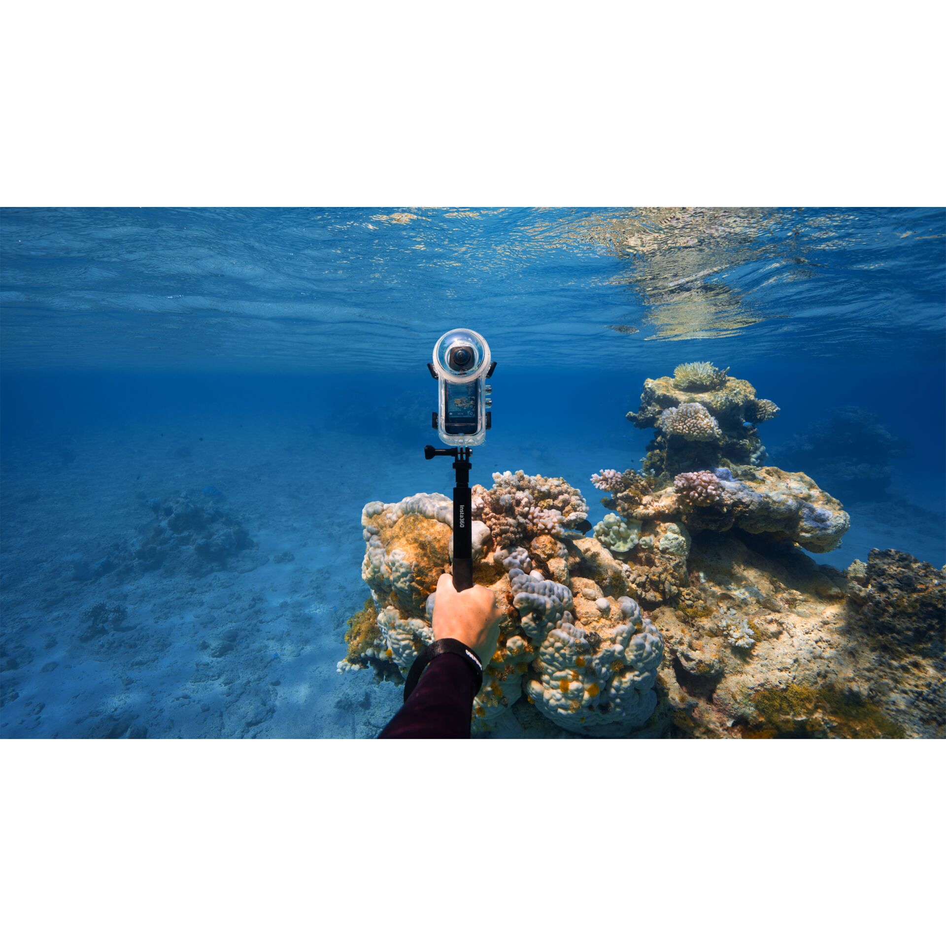Wasser, Natur, Draußen, Meer, Riff