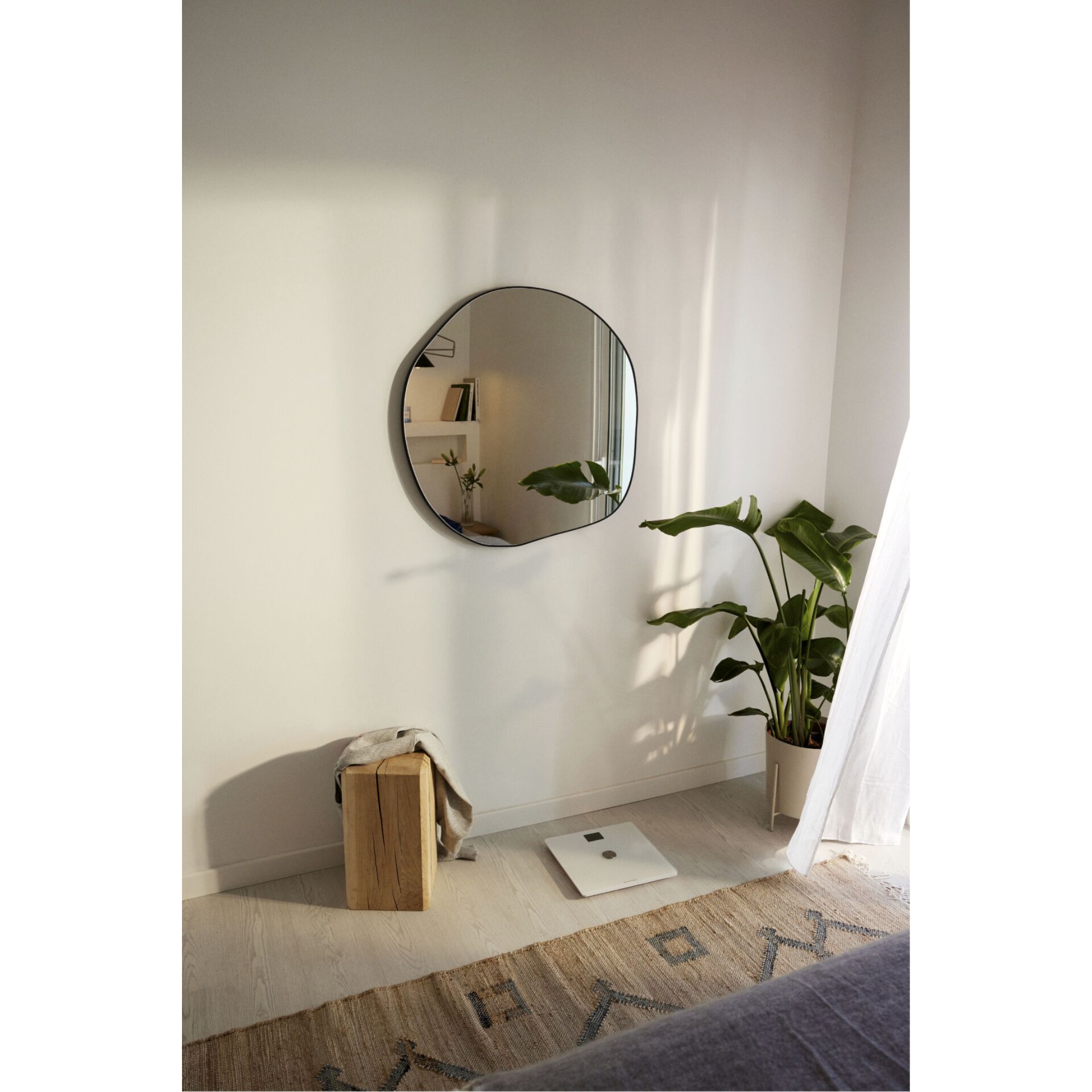 Drinnen, Innenarchitektur, Pflanze