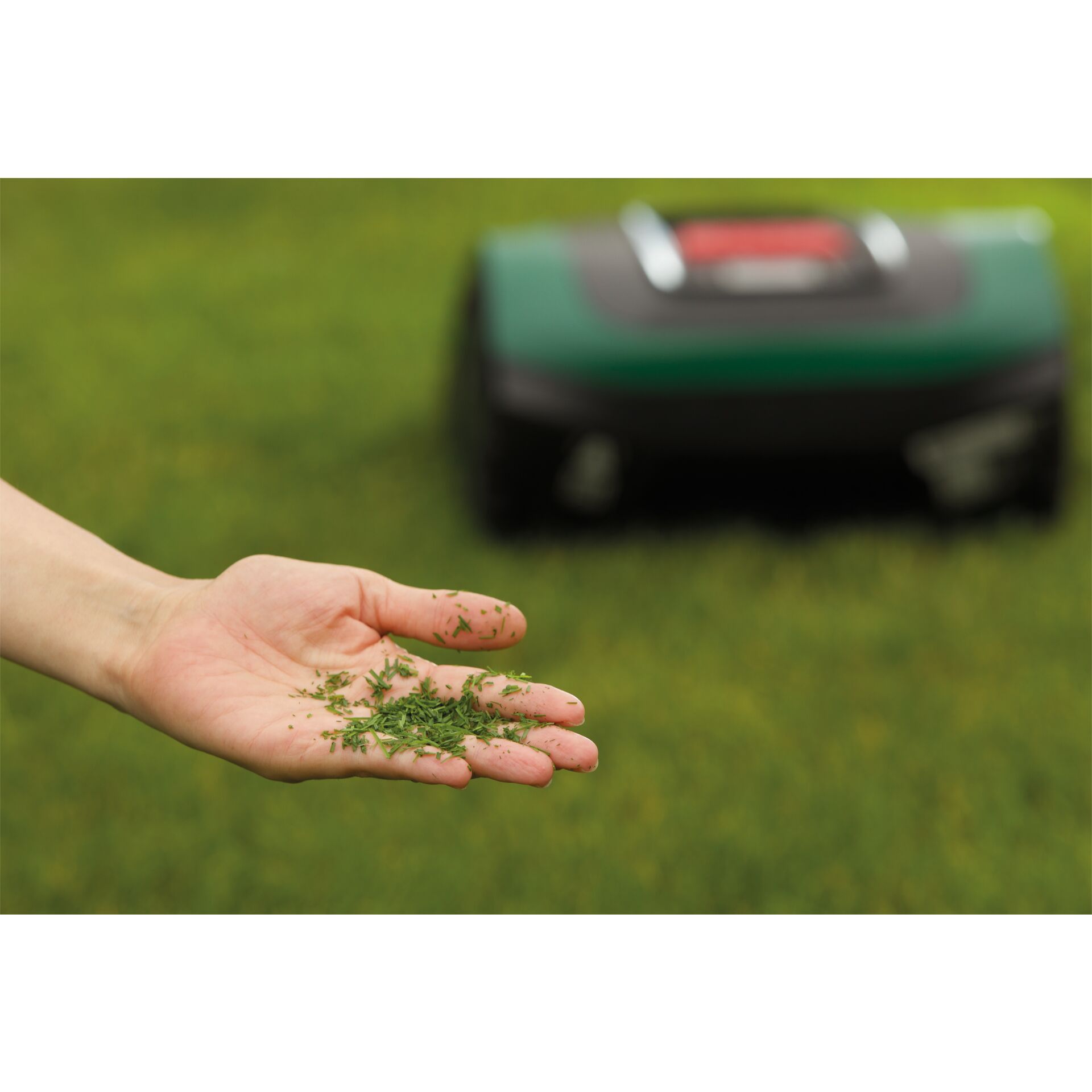 Gras, Rasen, Finger, Kräuterisch, Auto