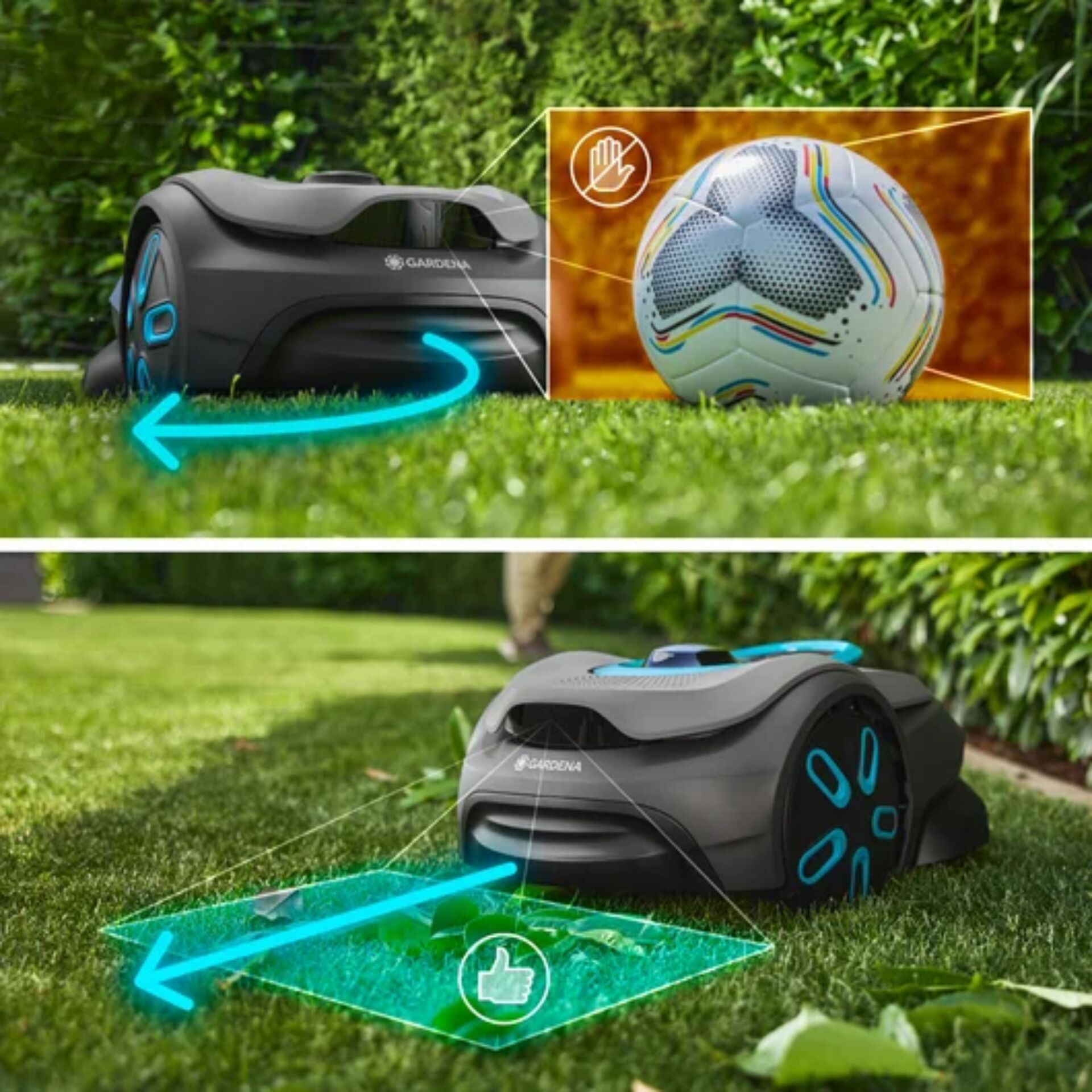 Gras, Pflanze, Fußball, Sport, Rasen