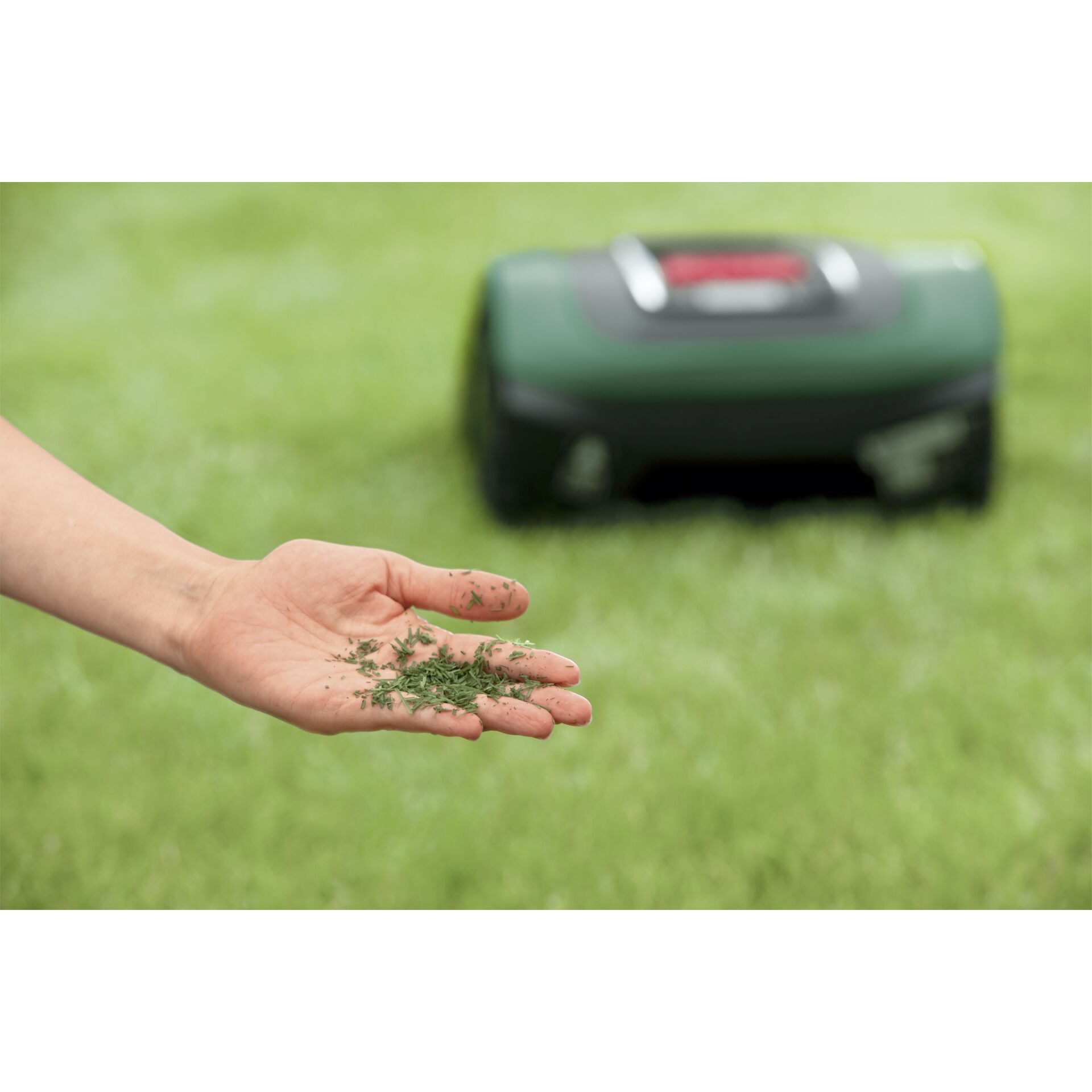 Gras, Rasen, Pflanze, Person, Finger
