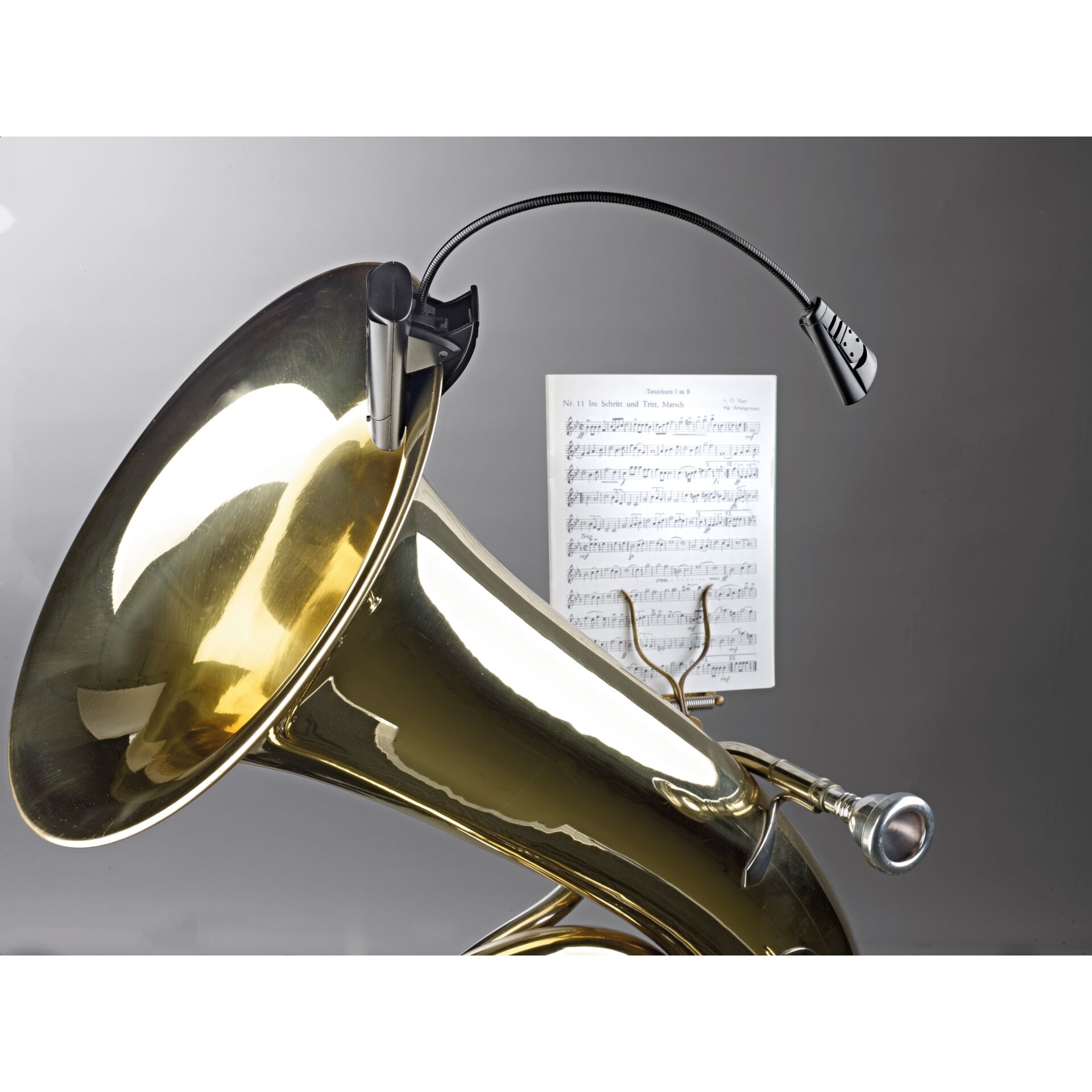 Sektion Blechbläser, Horn, Musikinstrument, Tuba