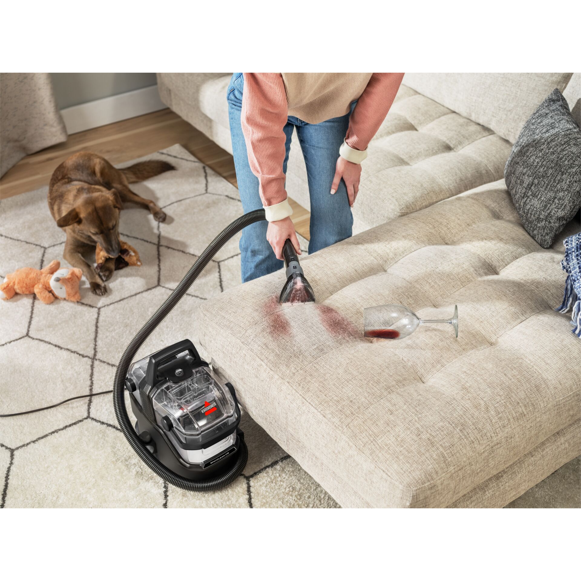 Person, Hund, Haustier, Innenarchitektur