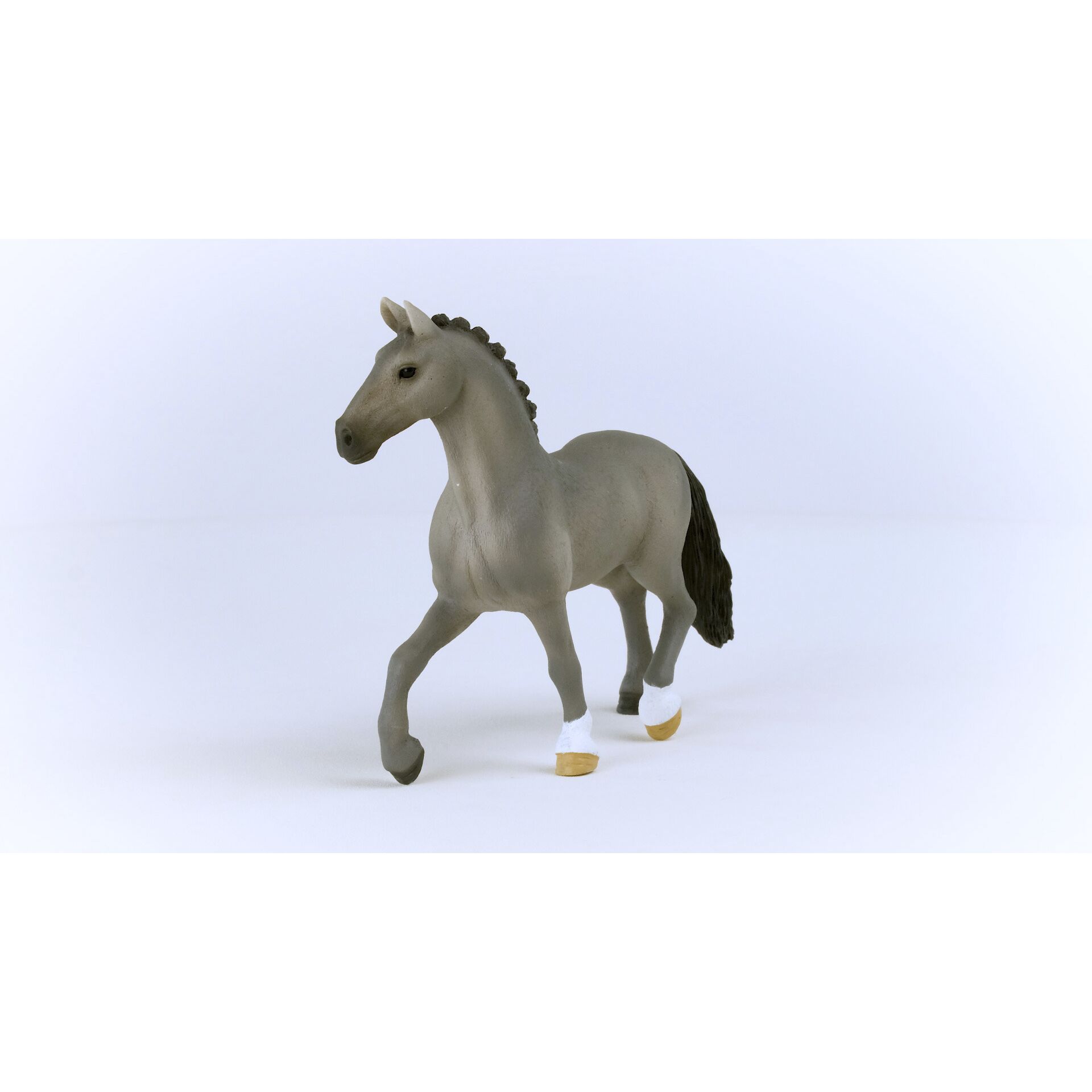 Tier, Pferd, Säugetier, Colt Horse