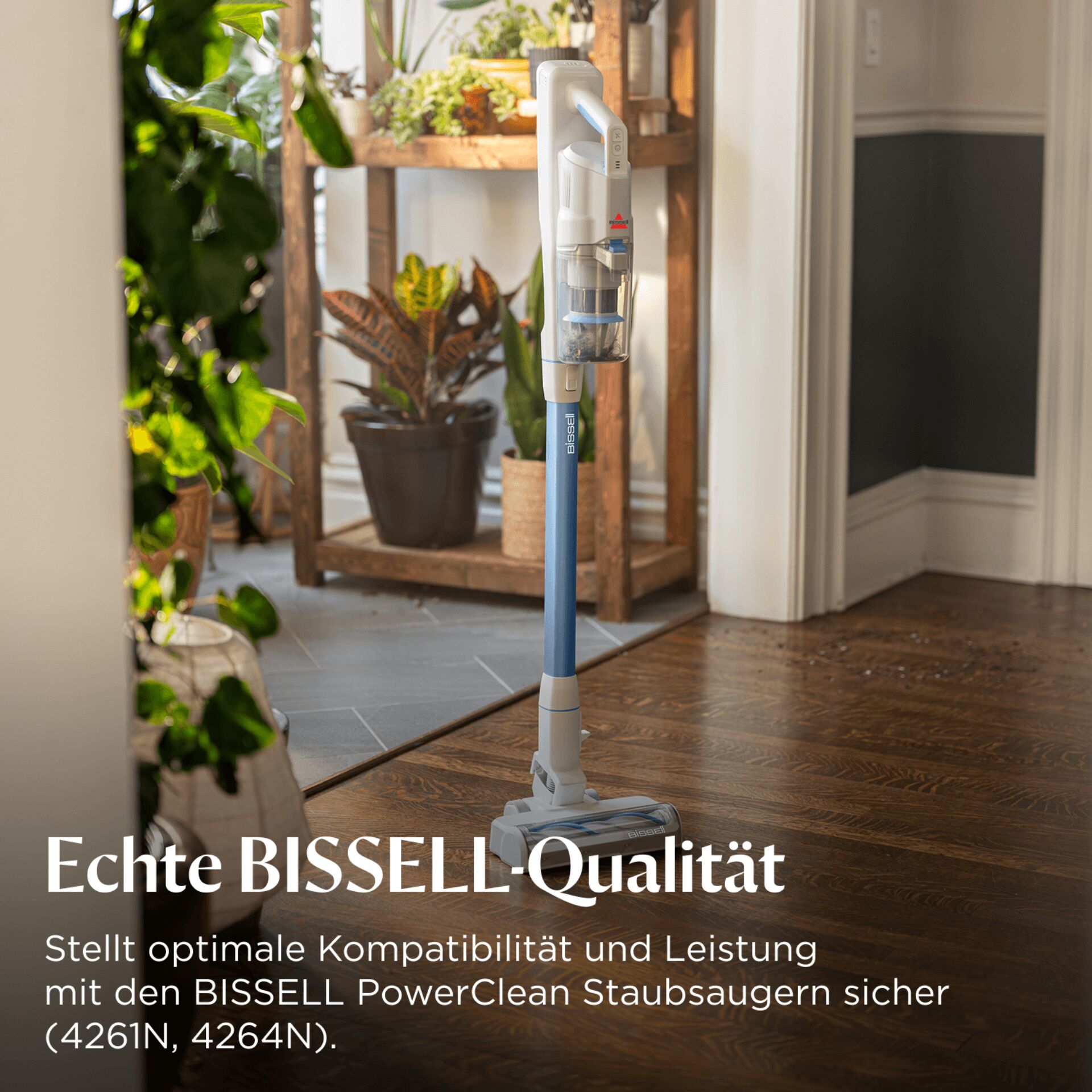 Pflanze, Pflanze im Topf, Drinnen, Innenarchitektur