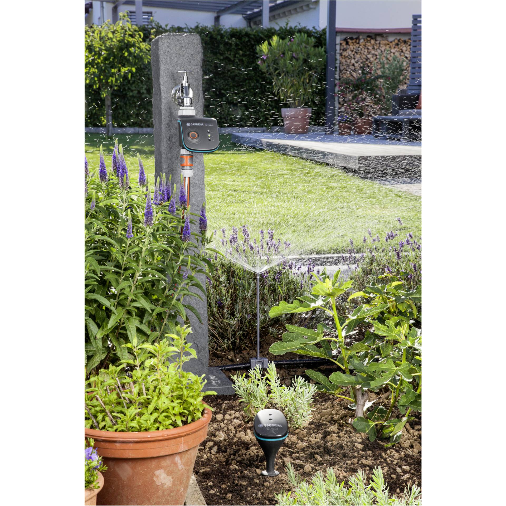 Garten, Topfpflanze, Krug, Pflanzgefäß, Kräuterig