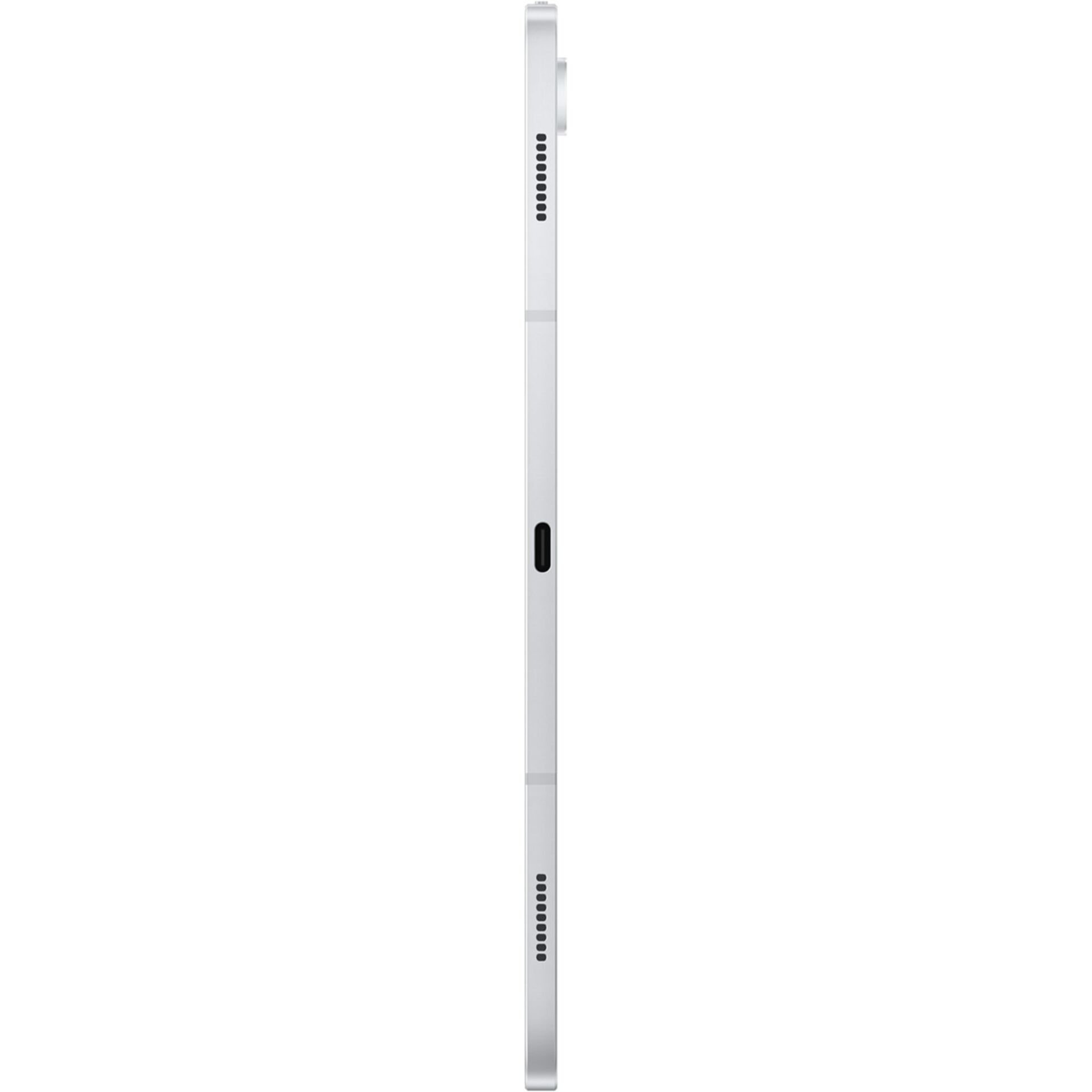 Elektrisches Gerät, Mikrophon