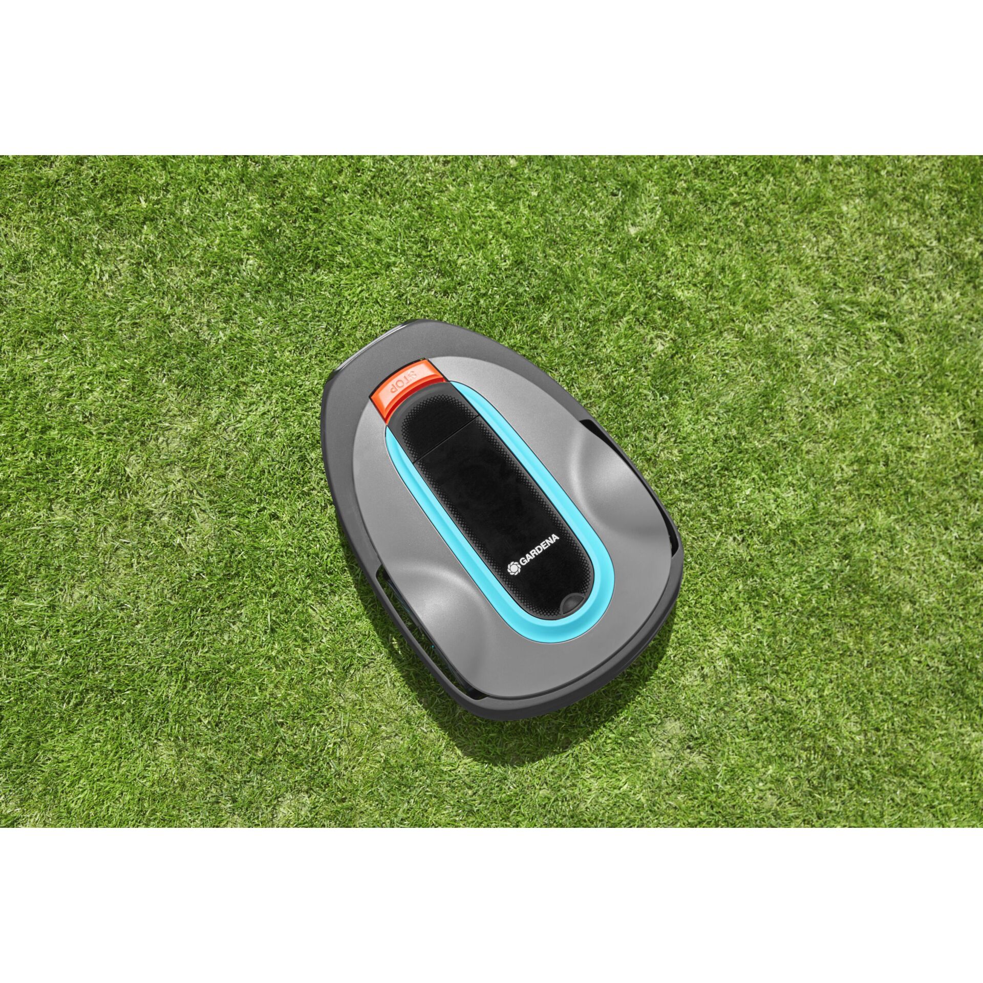 Gras, Rasen, Computerausrüstung, Maus