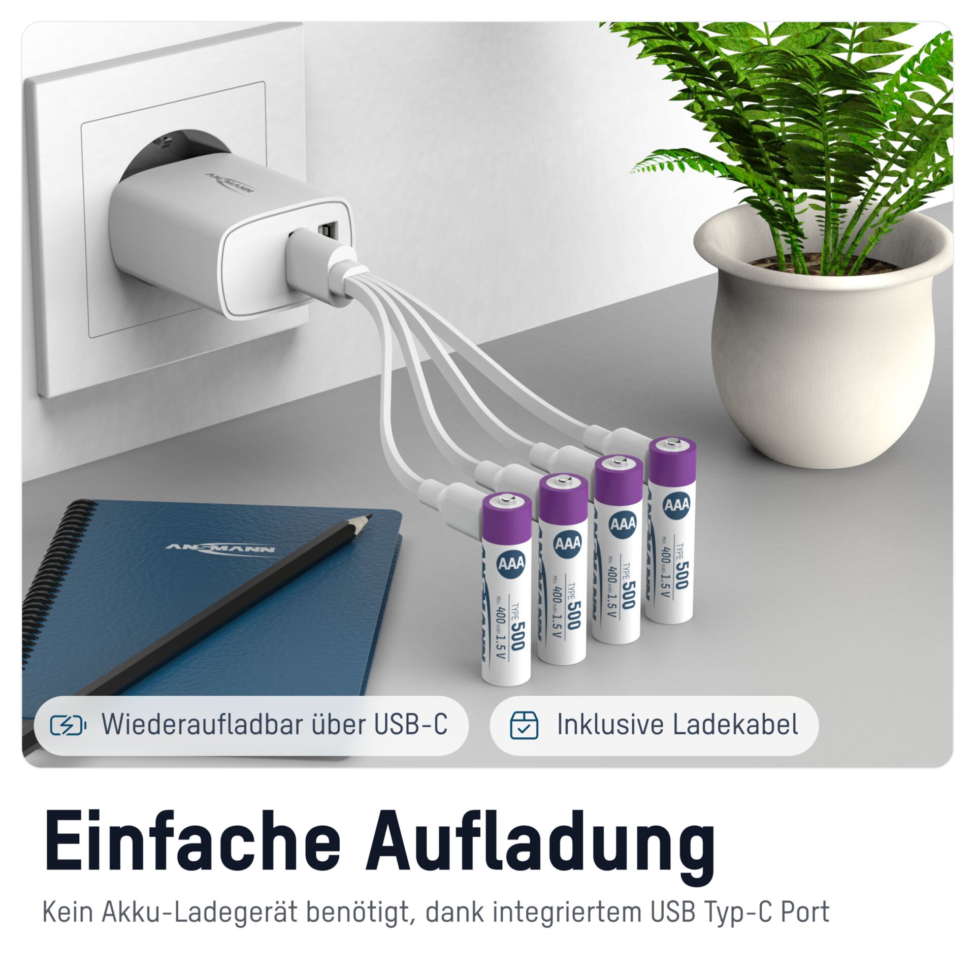 Pflanze, Pflanze im Topf